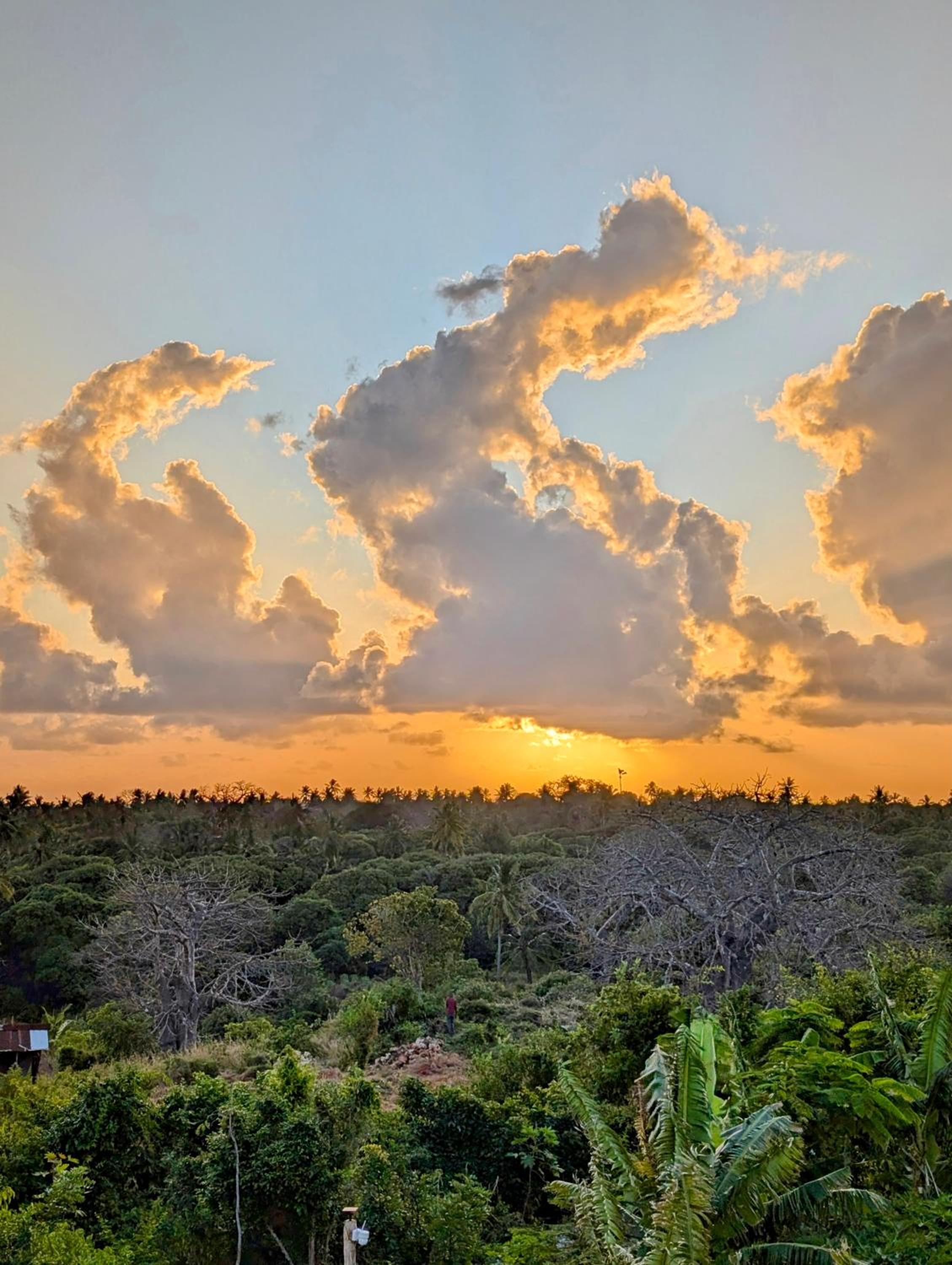 MONKEY MOUNTAIN LODGE