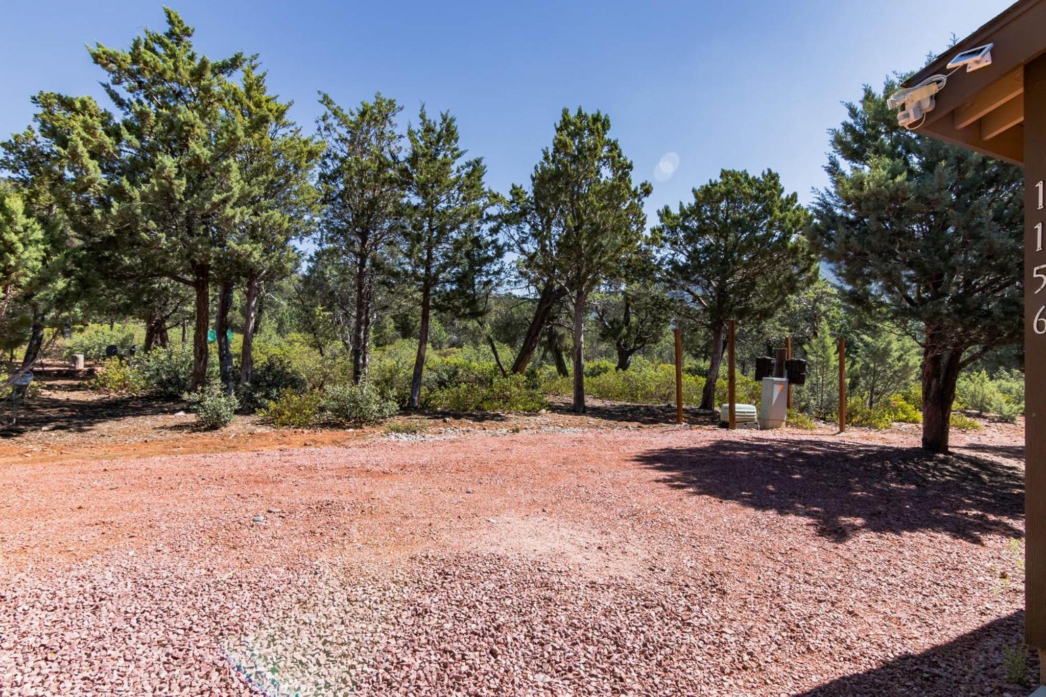 Elk Rim 1156 Pine