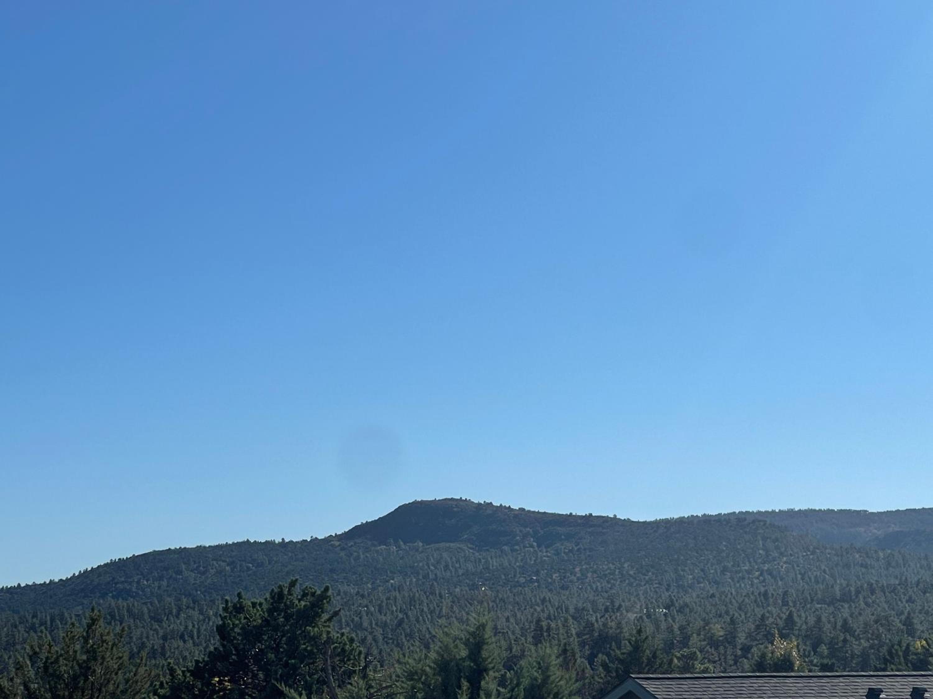 Elk Rim 1156 Pine