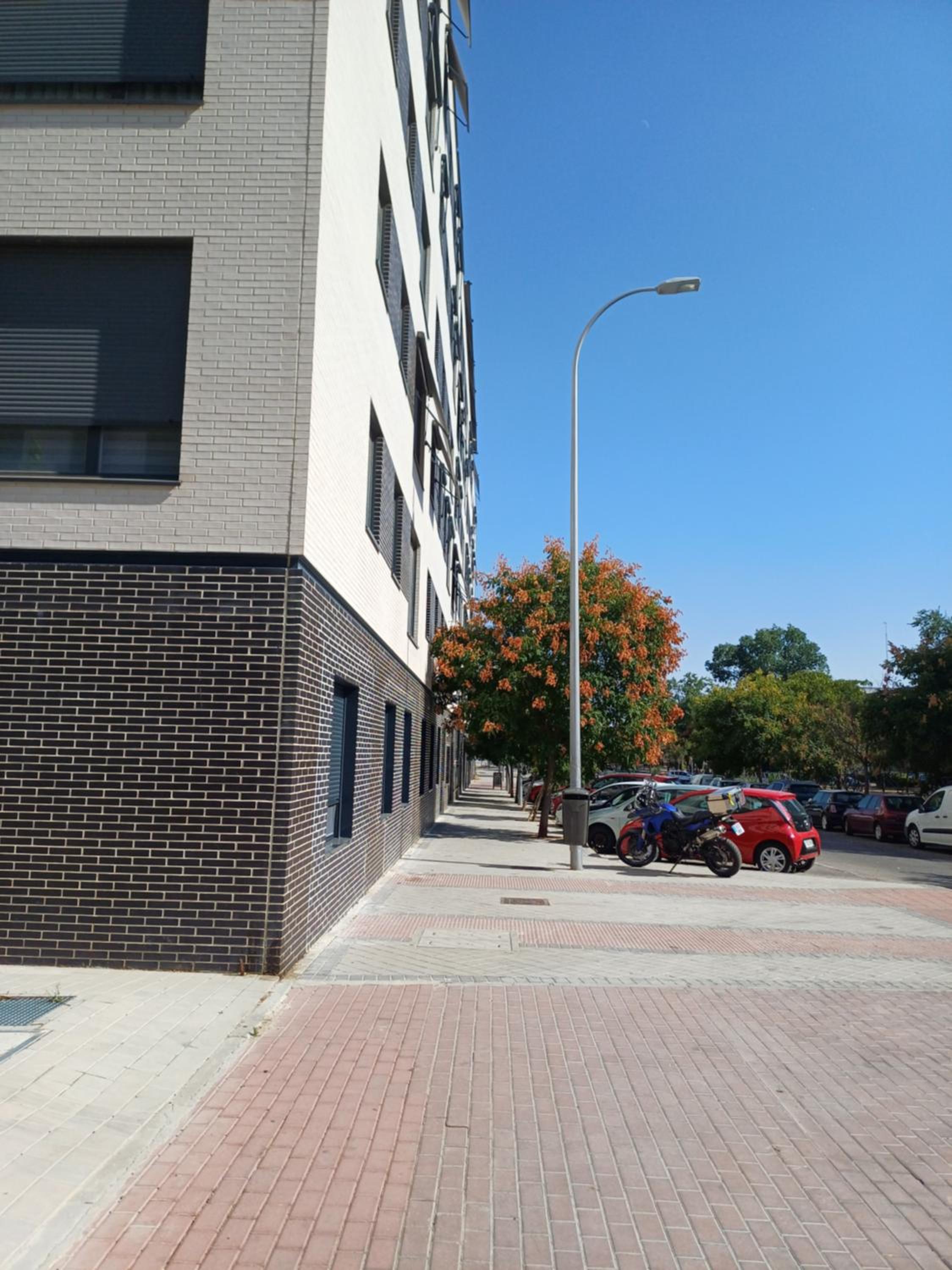 Estudios Nuevos Madrid Centro