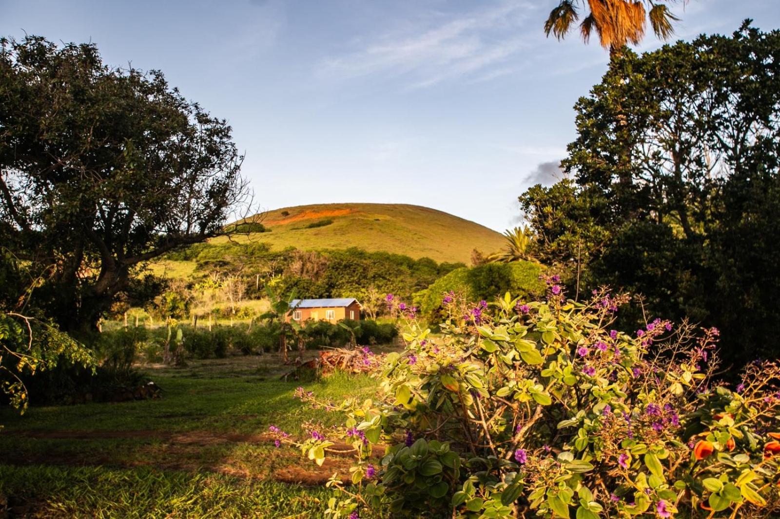 Cabaña Koromaki Rapanui