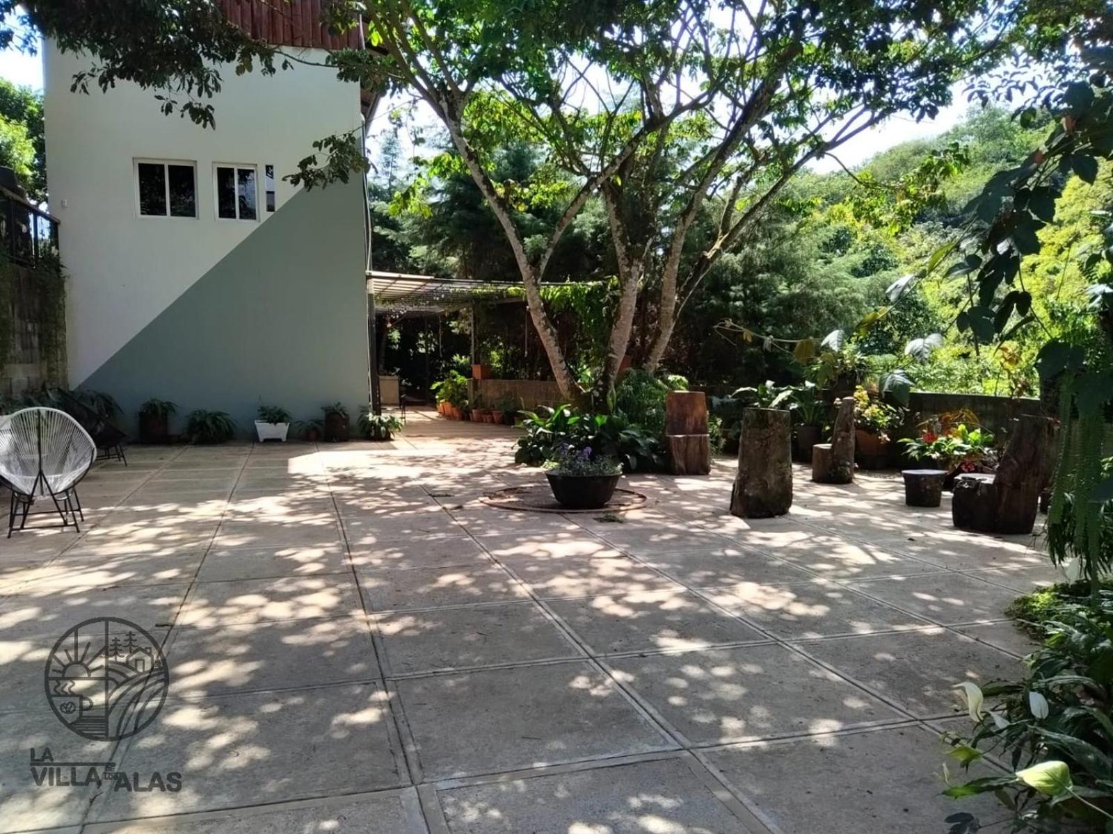 Photo 8