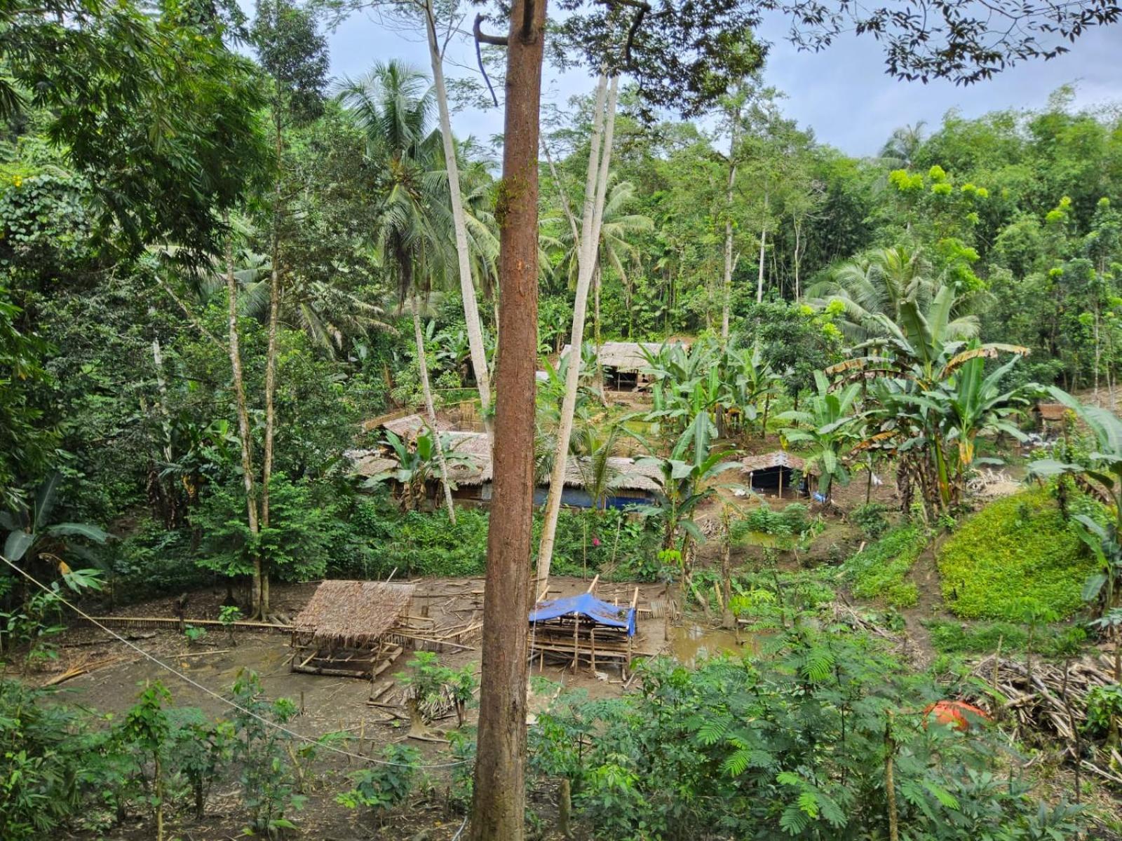 Baho Farm Stay view 4