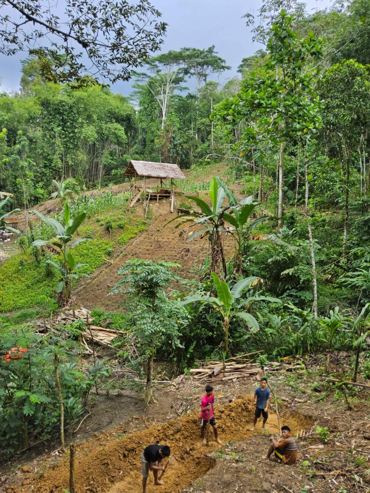 Baho Farm Stay view 2