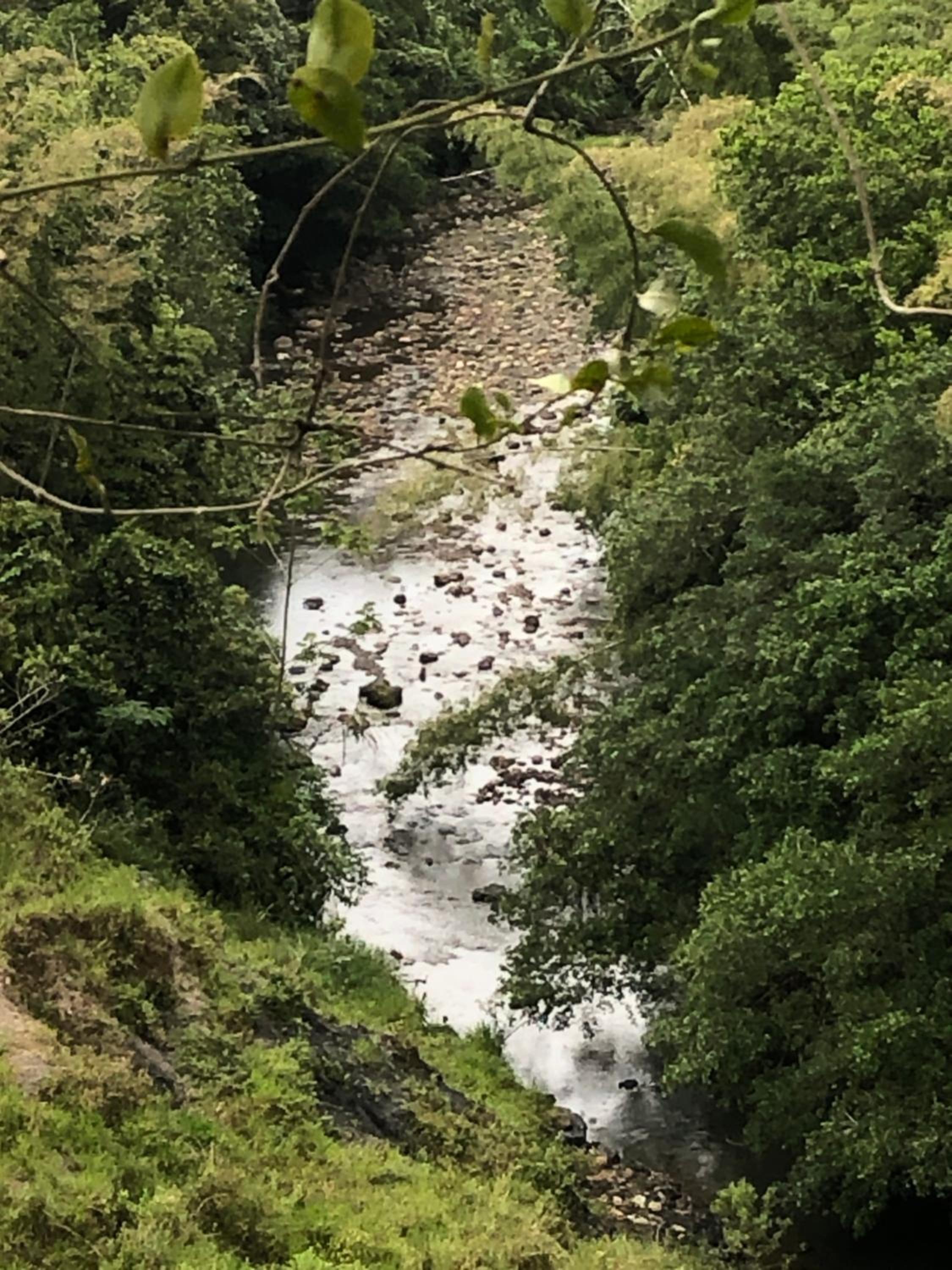 Ecofinca Azahares
