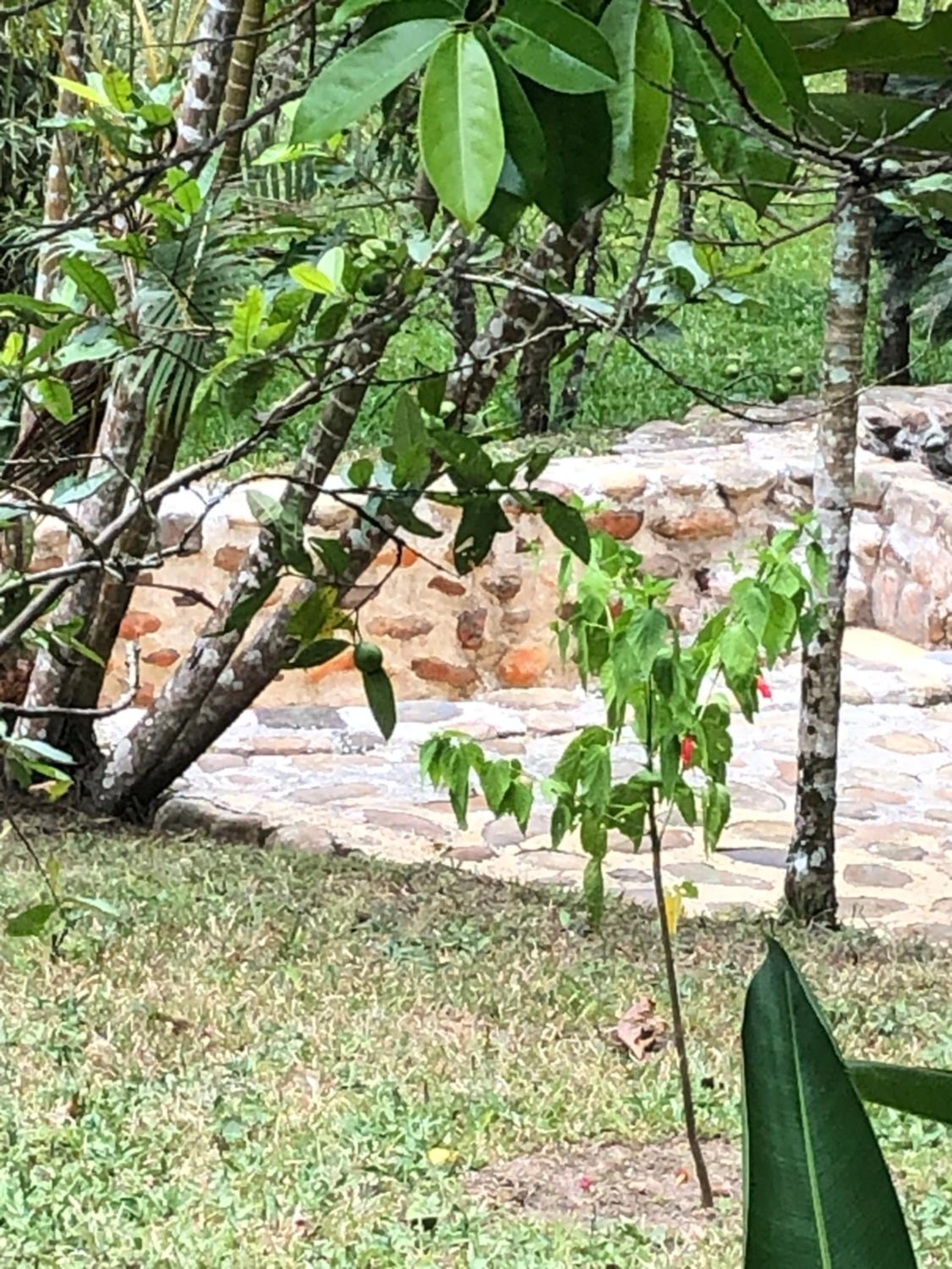 Ecofinca Azahares