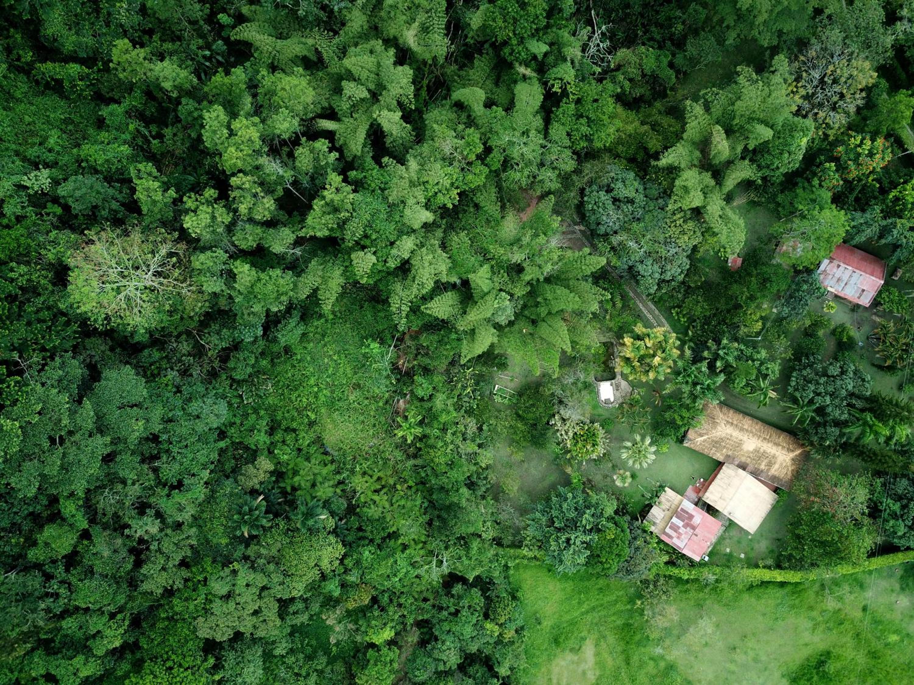 Ecofinca Azahares