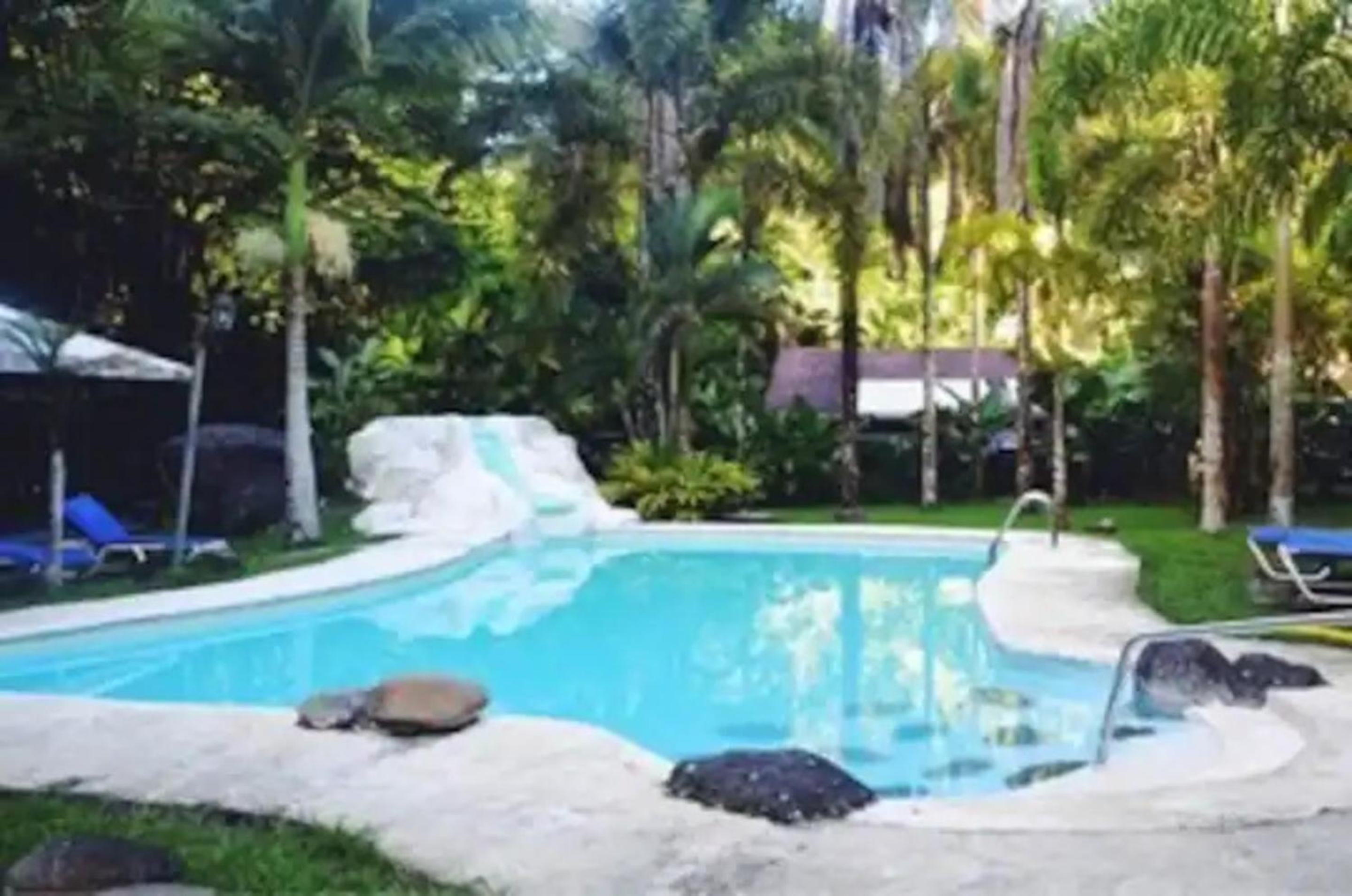 Villa Salvador - New Private Suite & Kitchen walk to Playa Chiquita