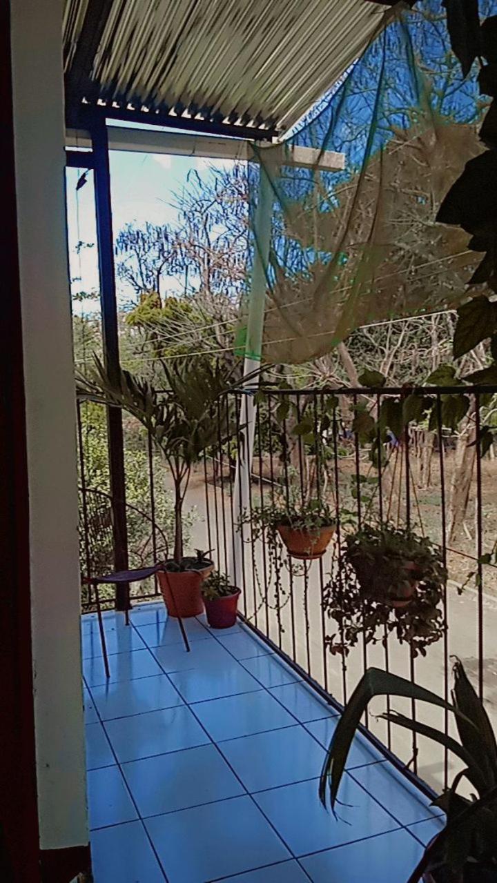 Hostal Isla Natal