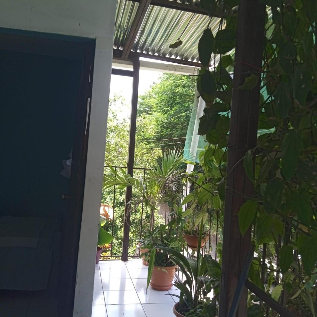 Hostal Isla Natal