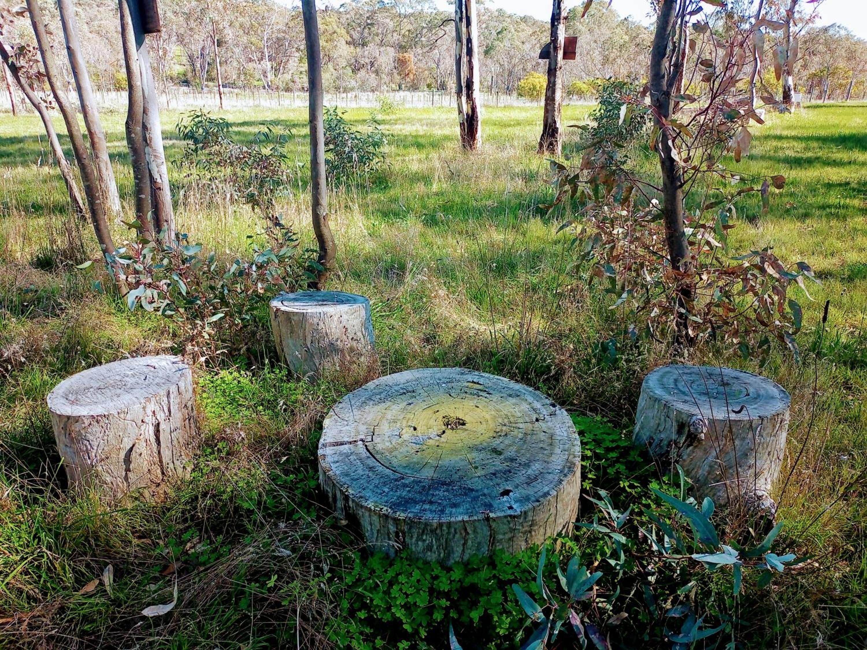 Accessible, Inclusive studio, Barossa Valley SA - It's Bonza at Mill About Vineyard