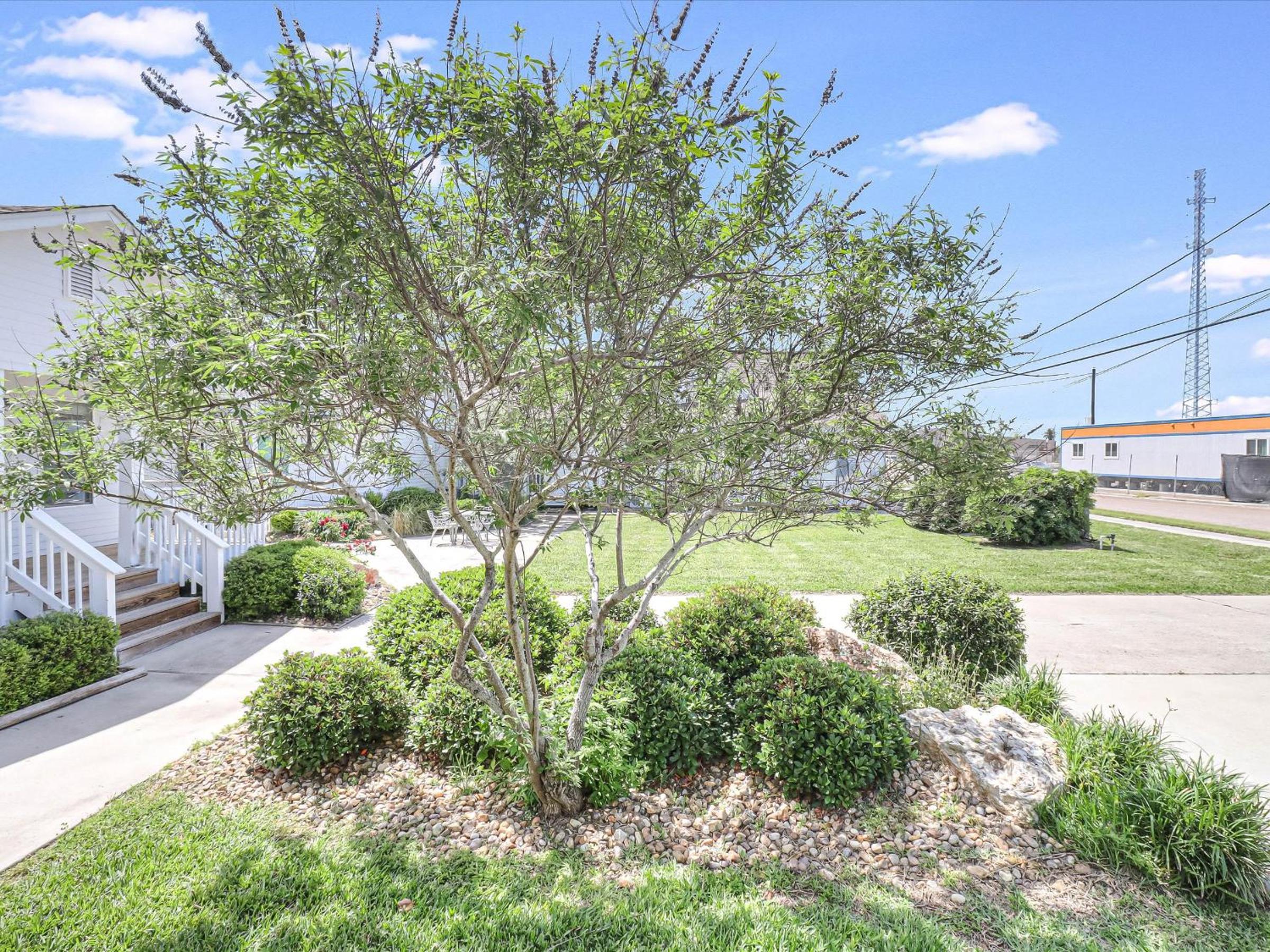 Coast Oaks Cottage 8 view 4