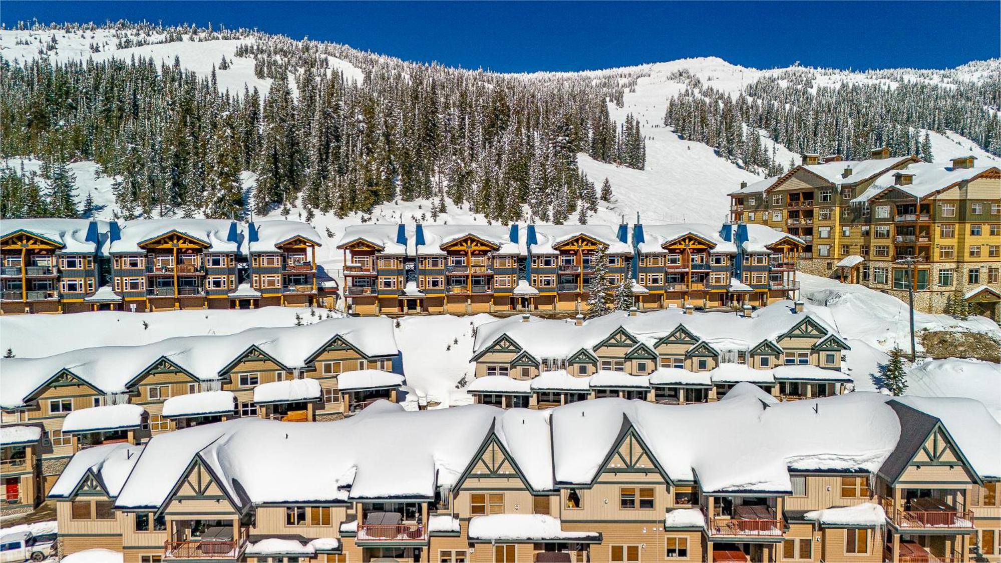 Treetops Ski Luxury Townhouse