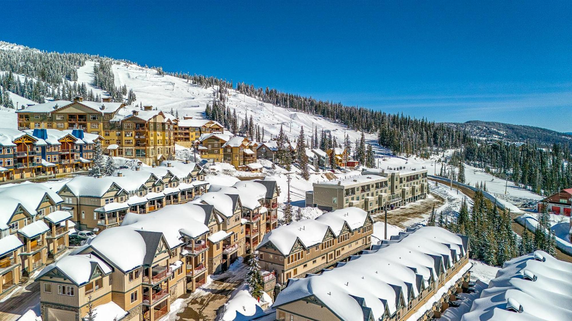 Treetops Ski Luxury Townhouse