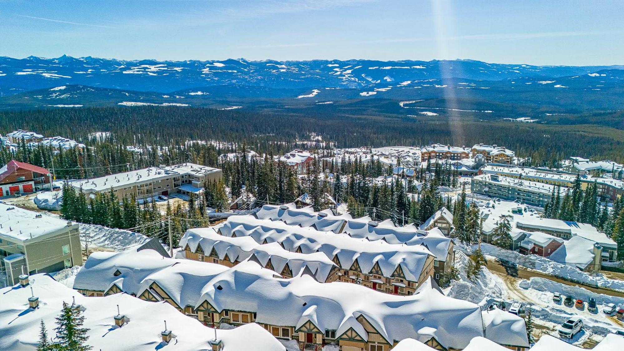 Treetops Ski Luxury Townhouse