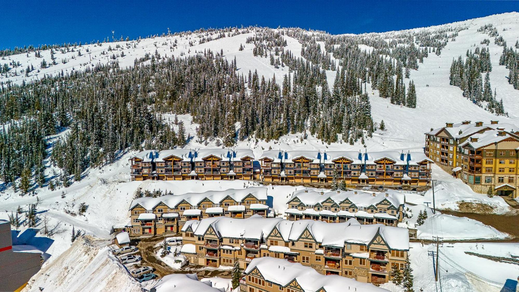 Treetops Ski Luxury Townhouse