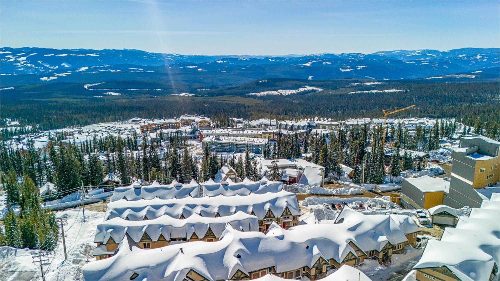 Treetops Ski Luxury Townhouse