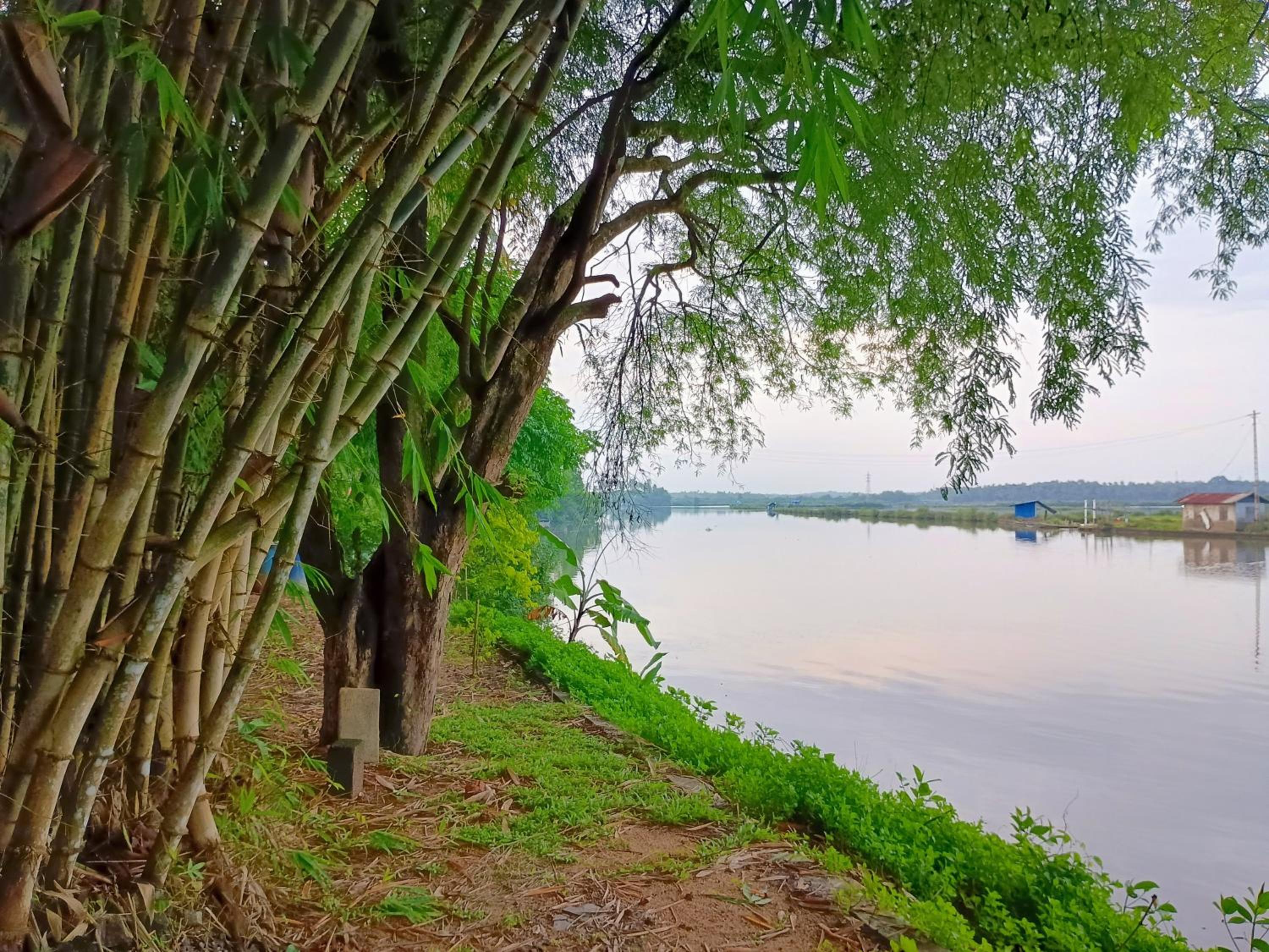 Green Haven Homestay