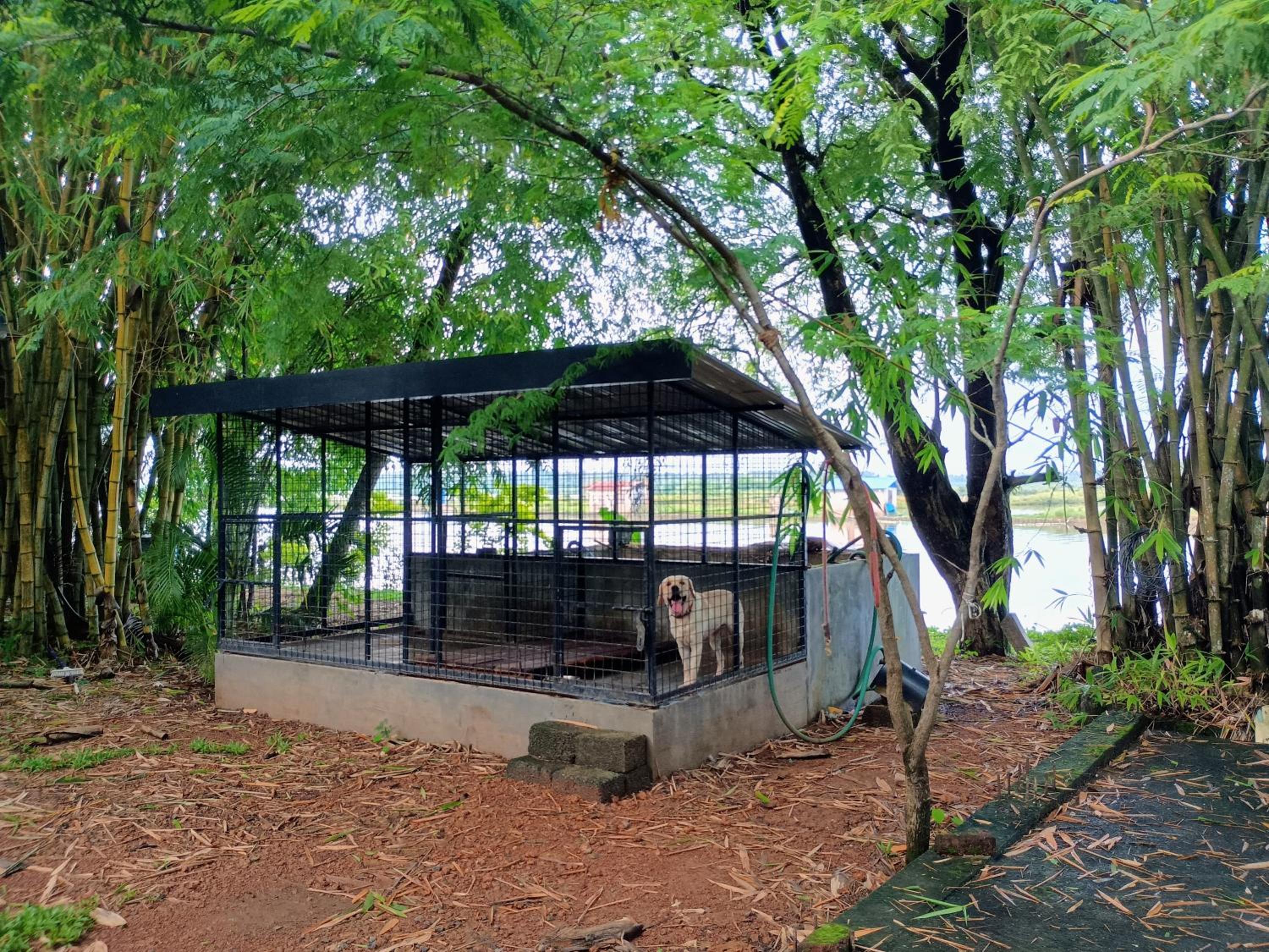 Green Haven Homestay