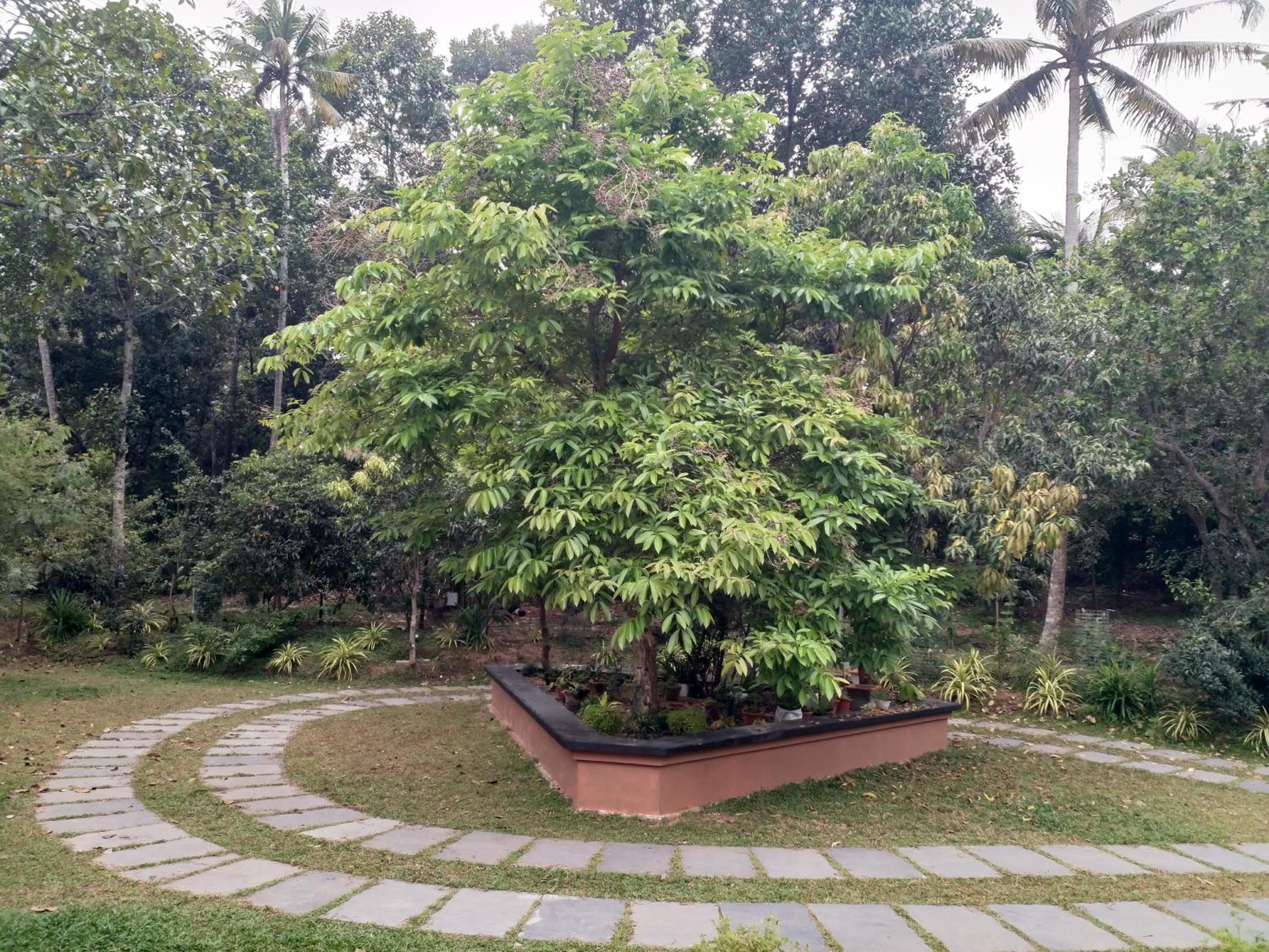 Green Haven Homestay
