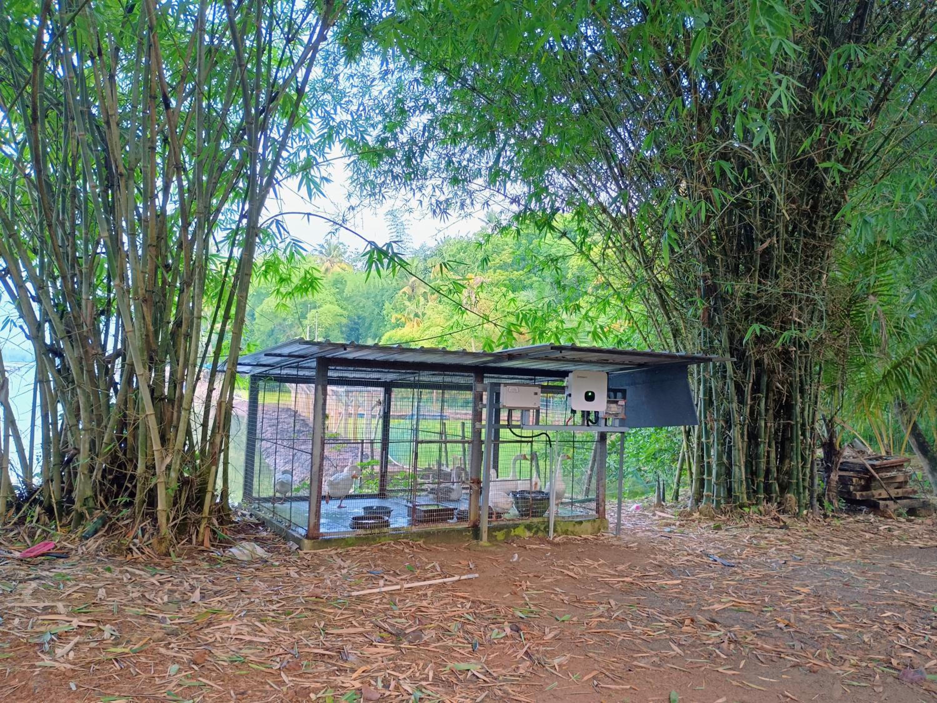 Green Haven Homestay
