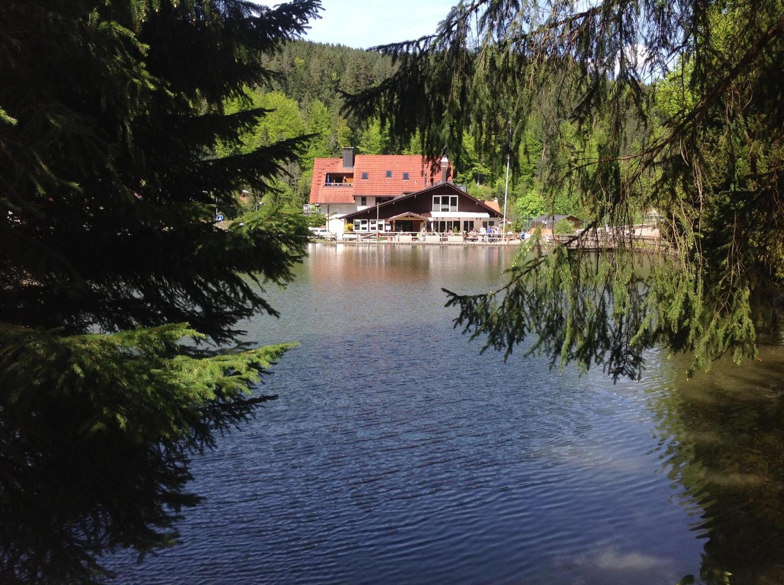 Self-check-in Ferienwohnungen & Apartments am Bergsee view 2