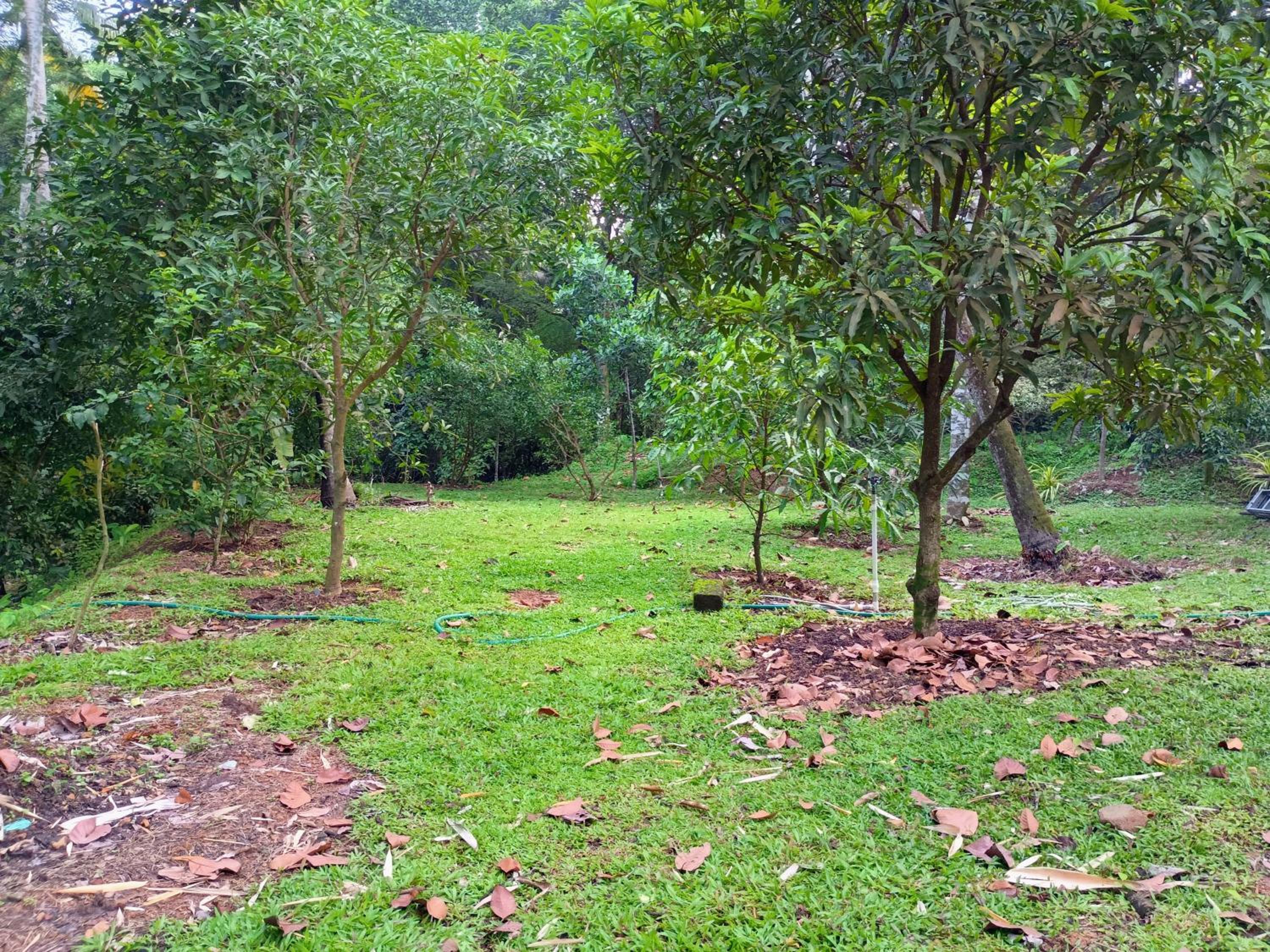 Green Haven Homestay