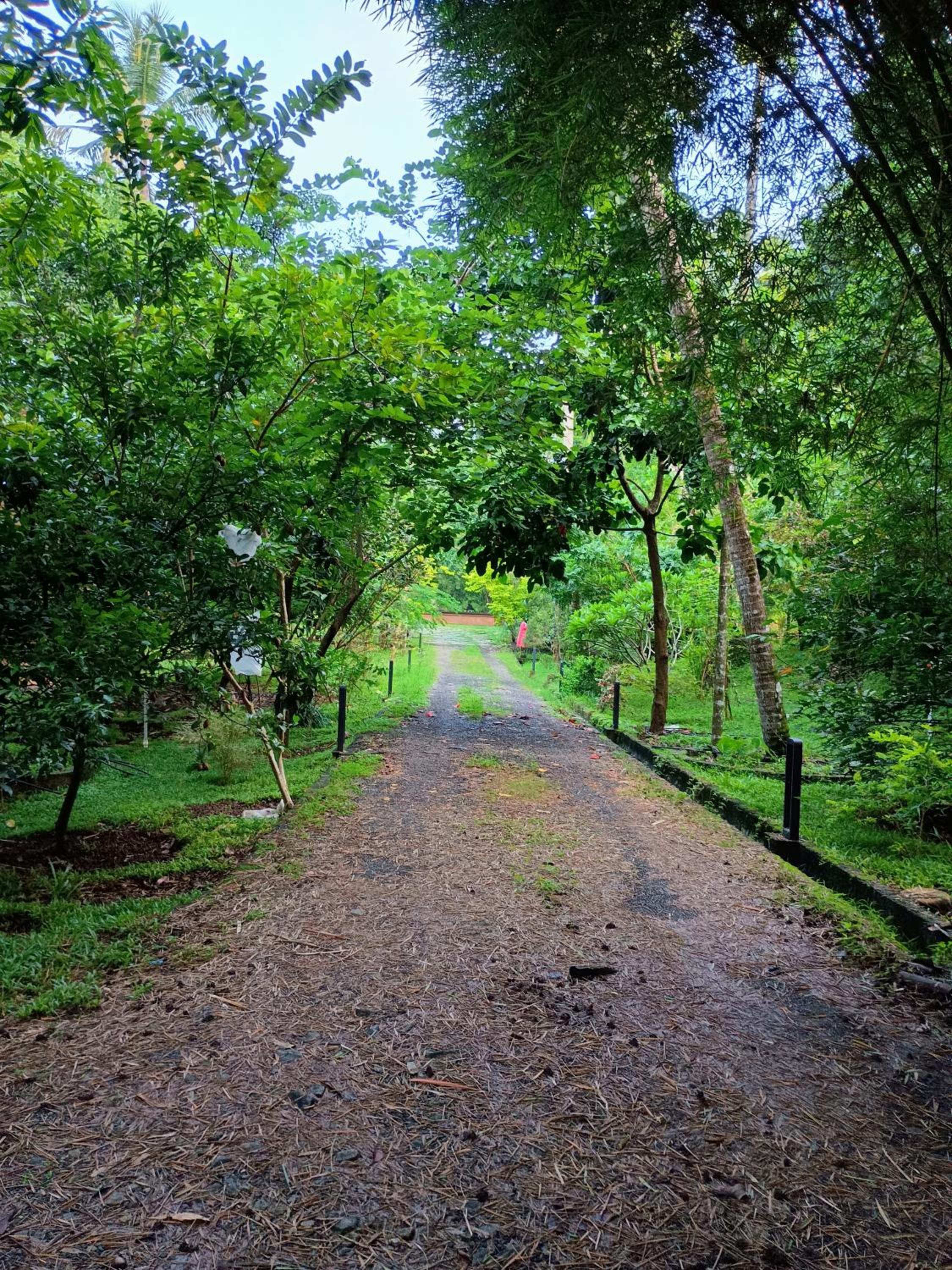 Green Haven Homestay