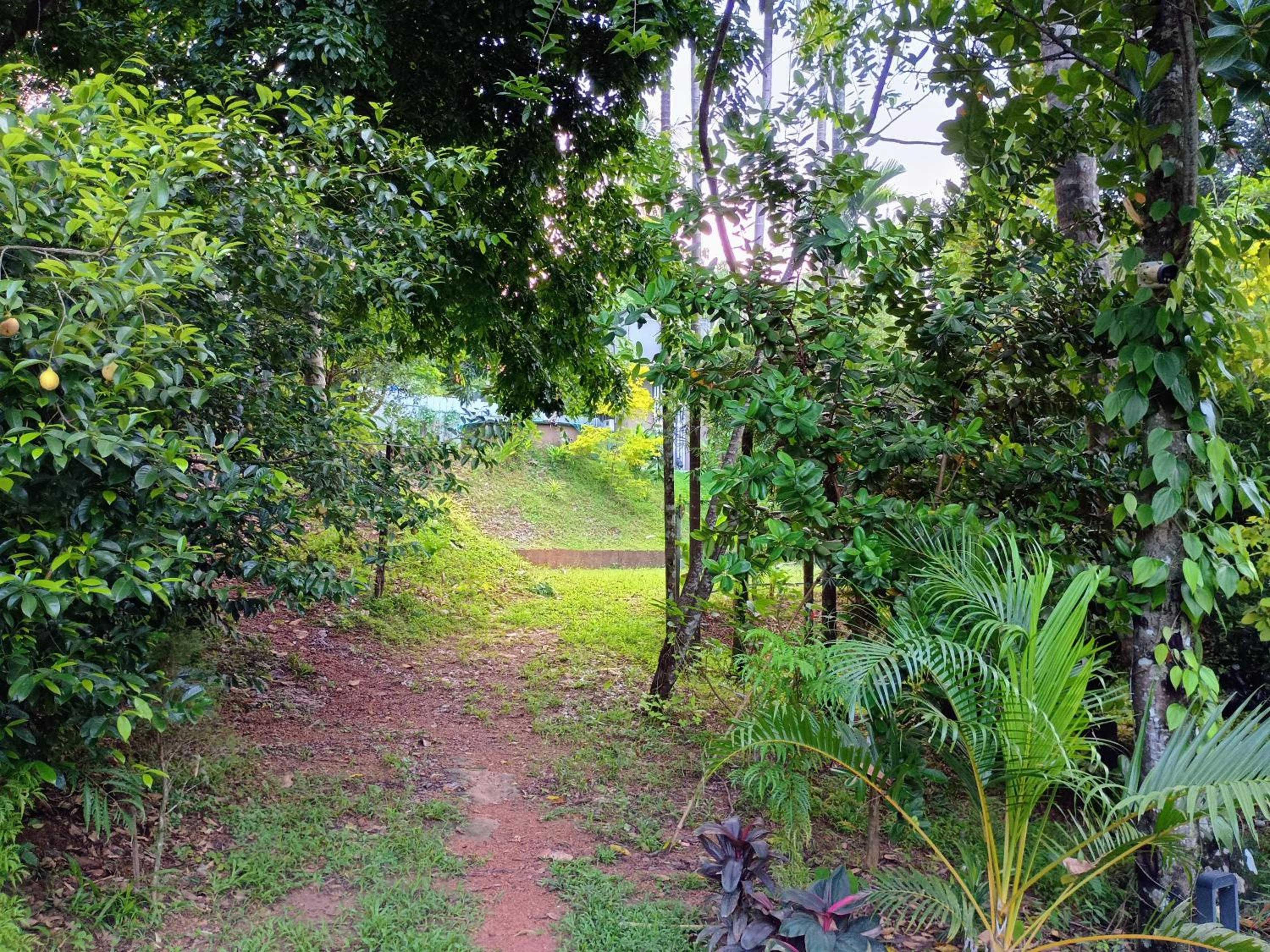 Green Haven Homestay