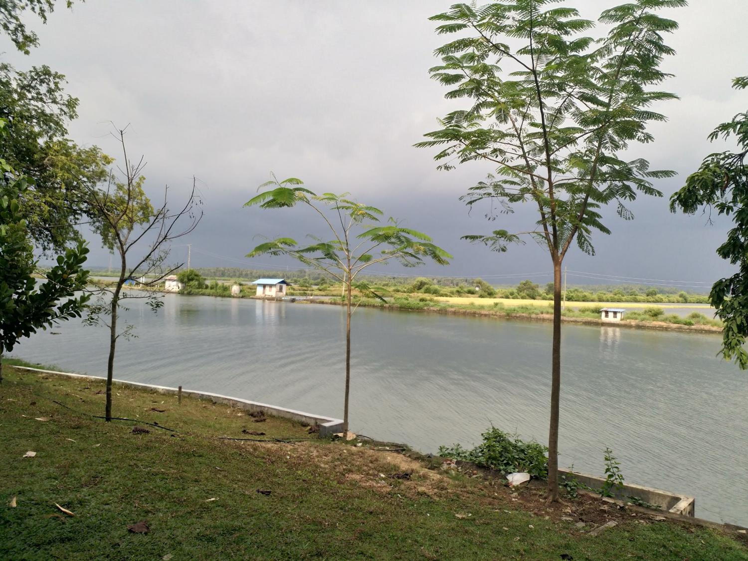 Green Haven Homestay