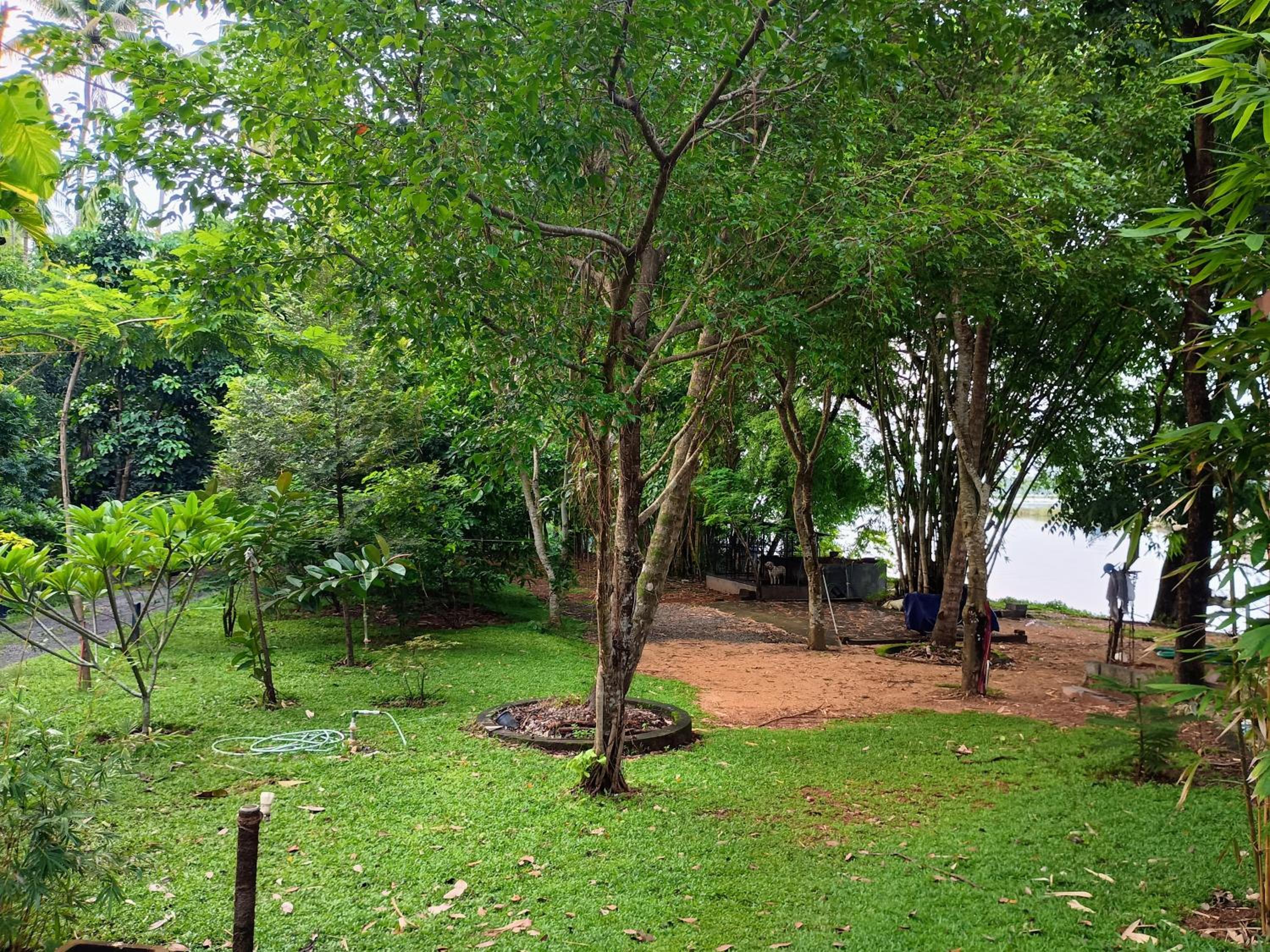 Green Haven Homestay