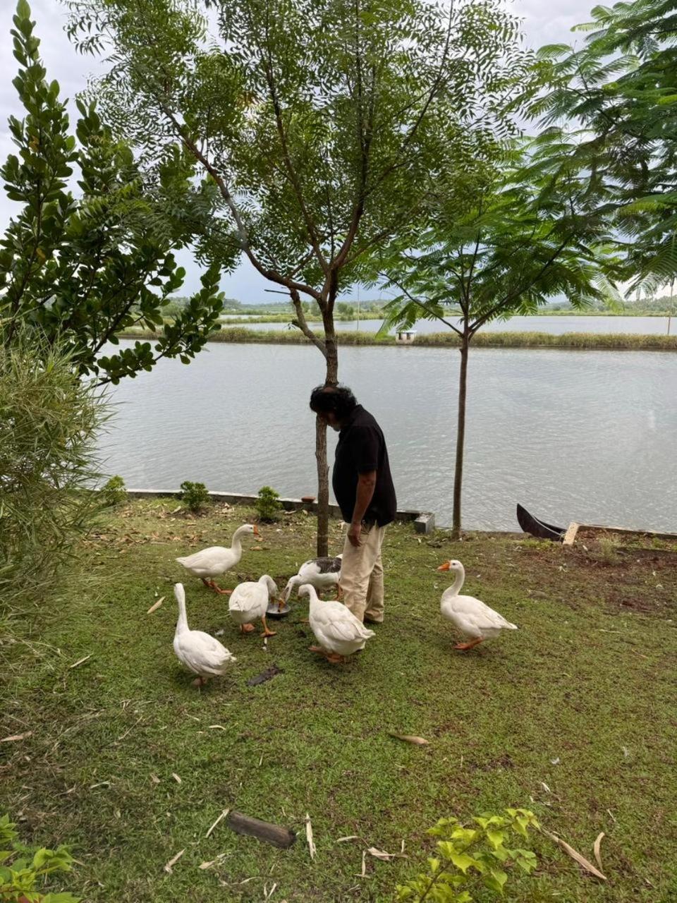 Green Haven Homestay