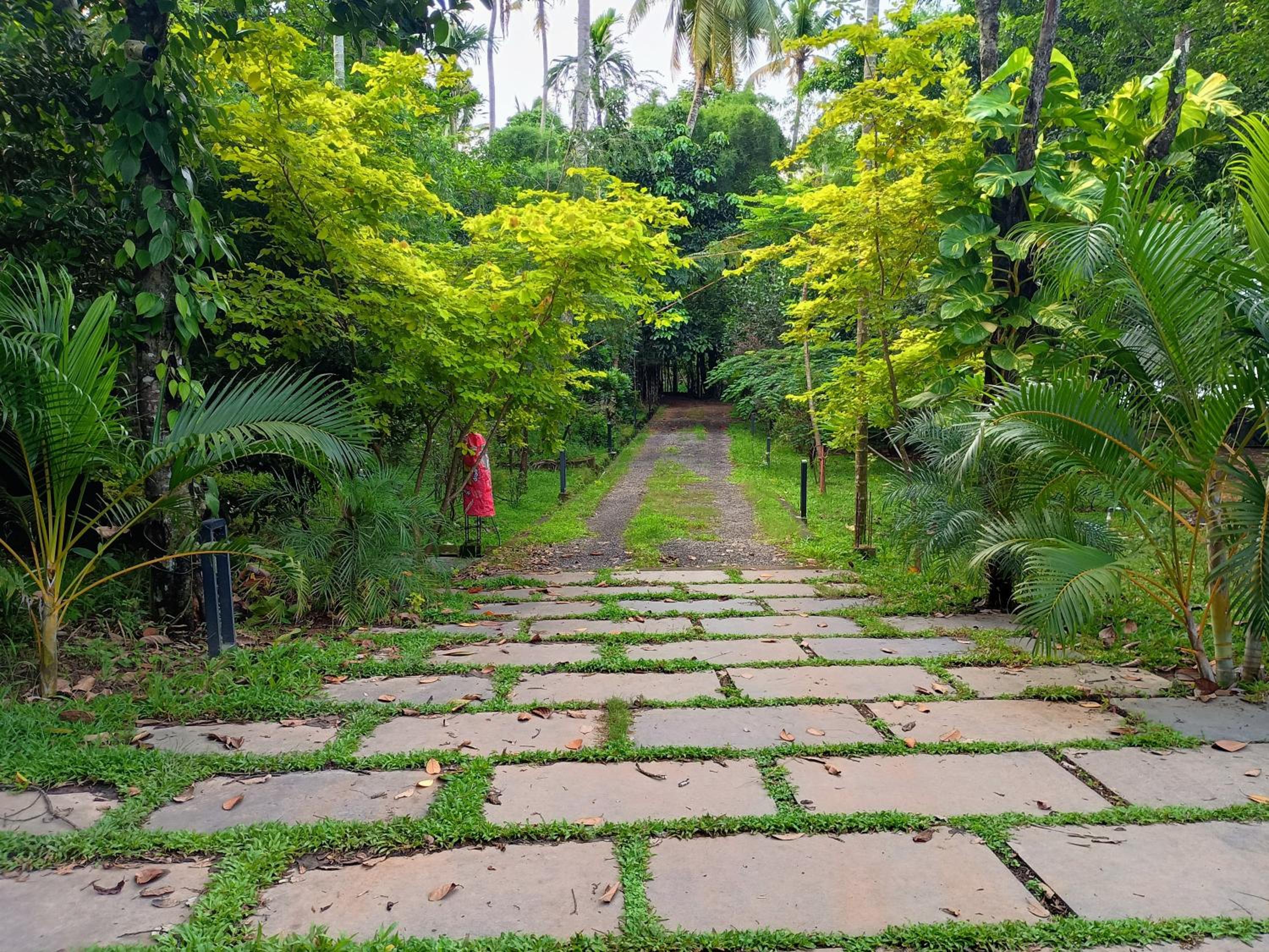 Green Haven Homestay