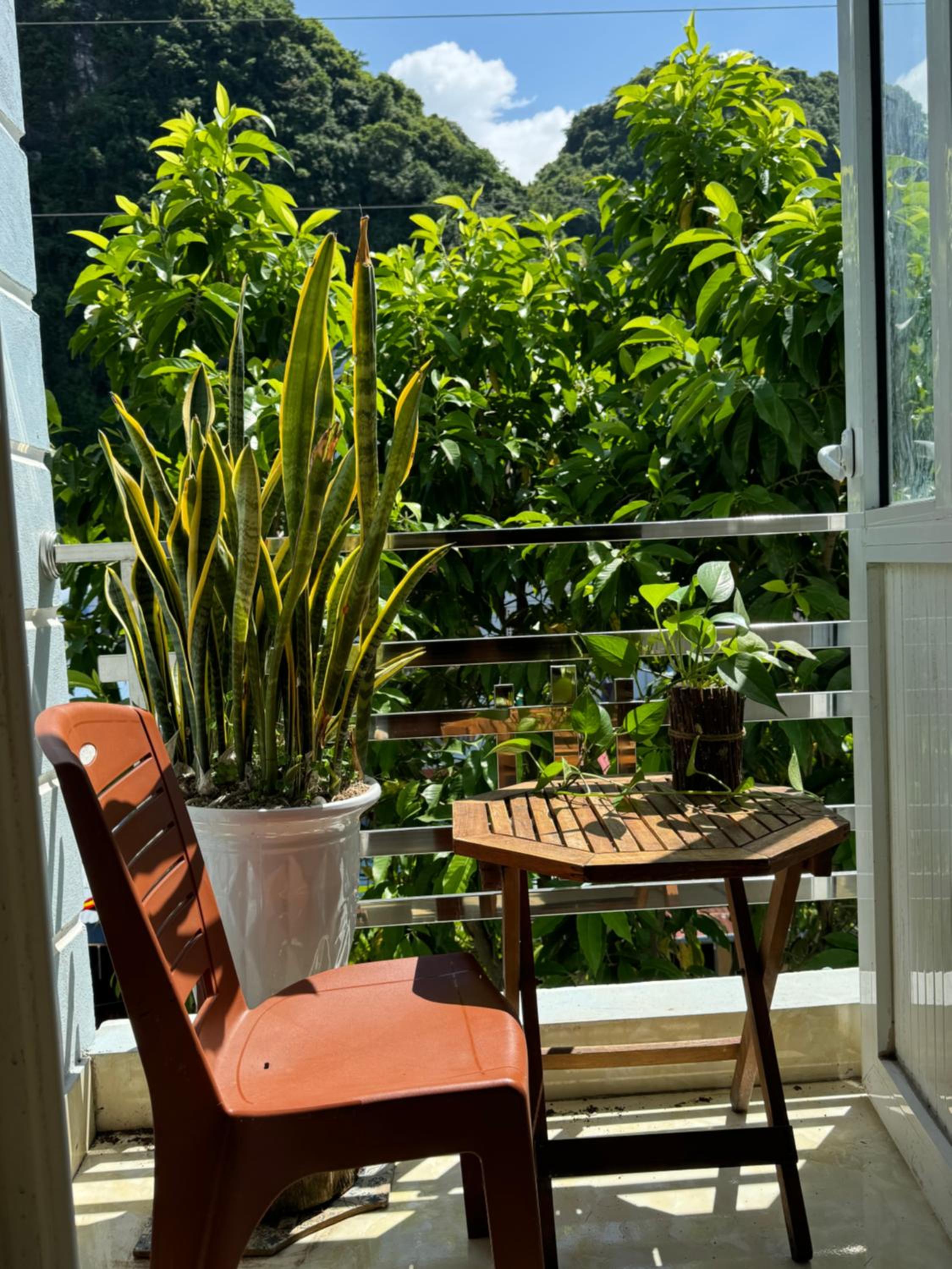 balance & terrace