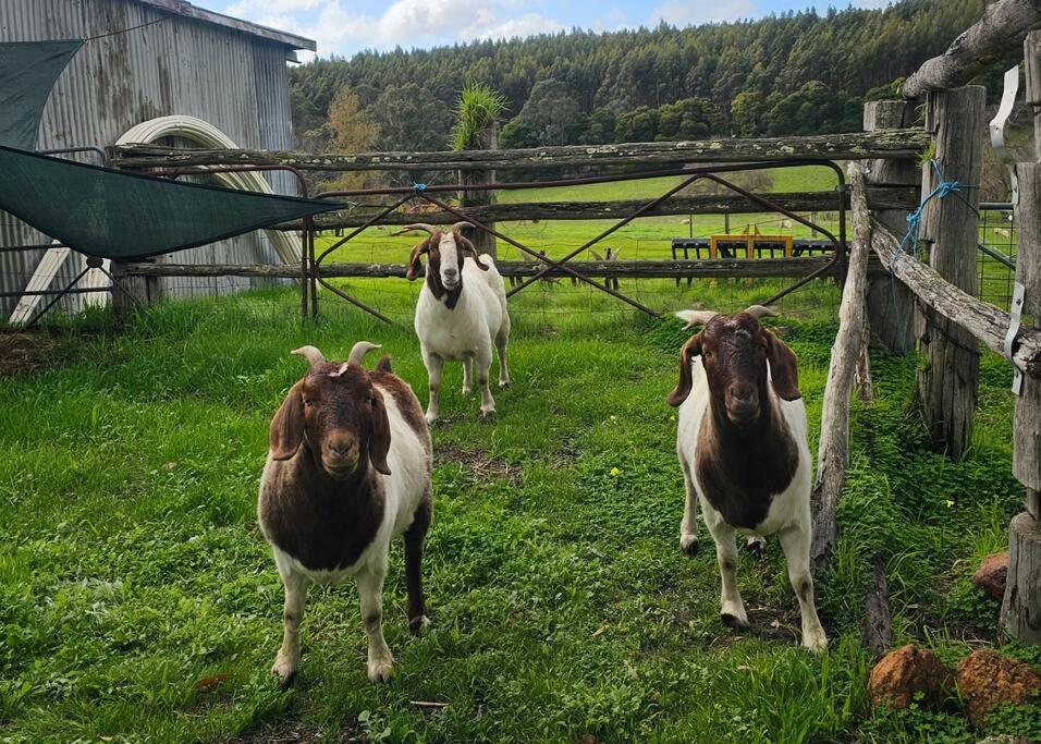Cherswood Farm