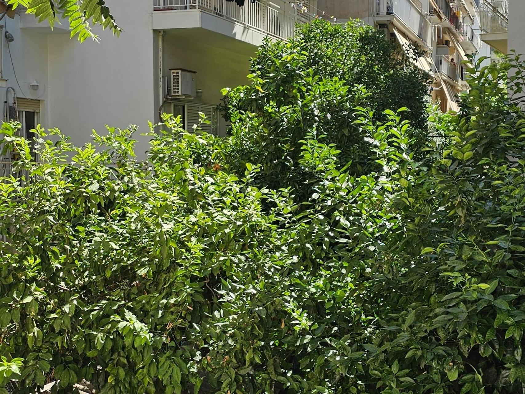 Cozy and quiet apartment , convenient location in Athens