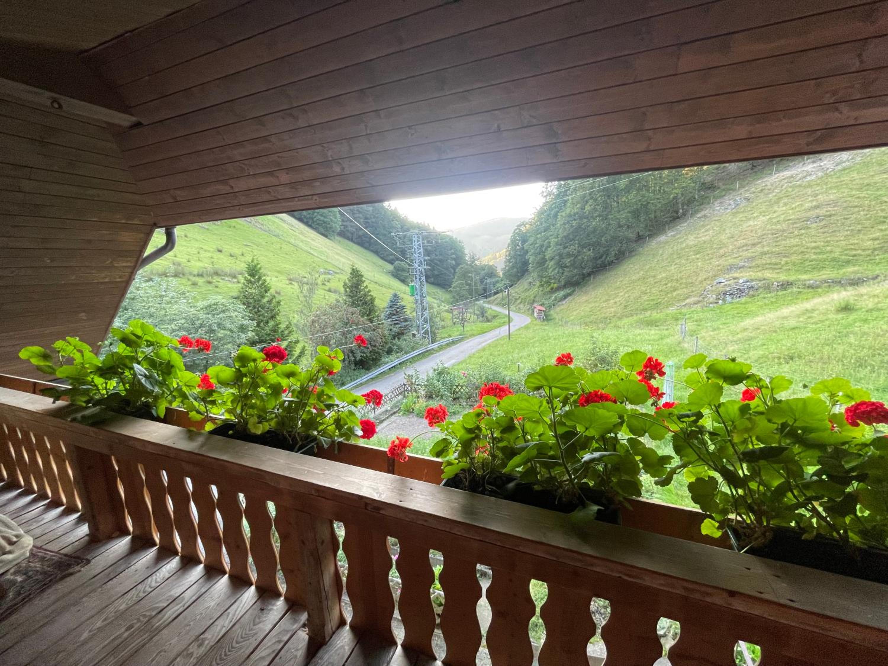 Bauernhaus im Münstertal