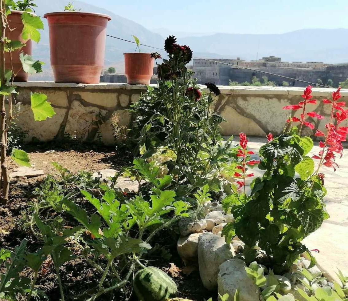Panoramic Vlachos