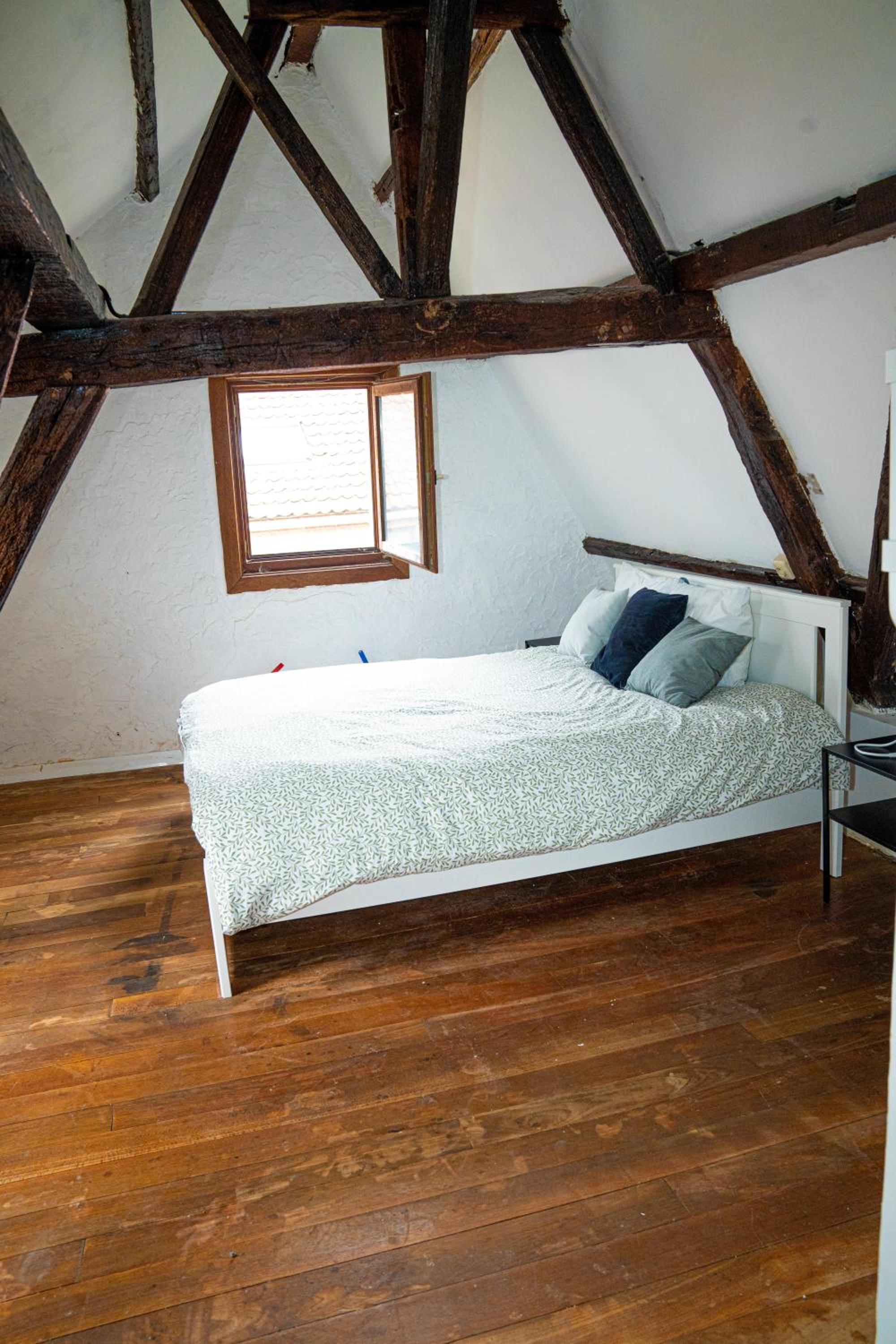 Stylish Canal-Side 2BR-1LR Apt, at Center of Gent