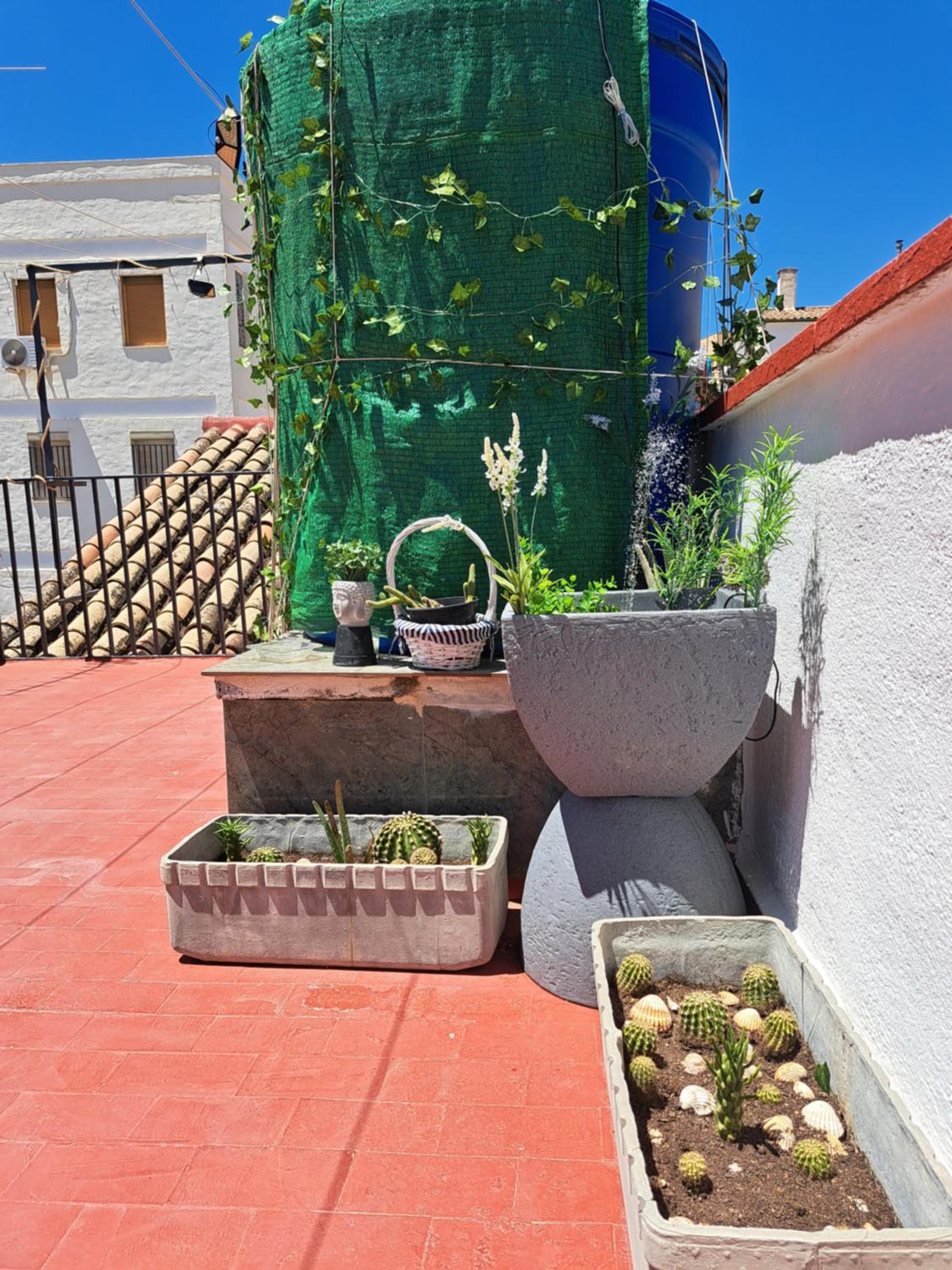 Casa Paloma