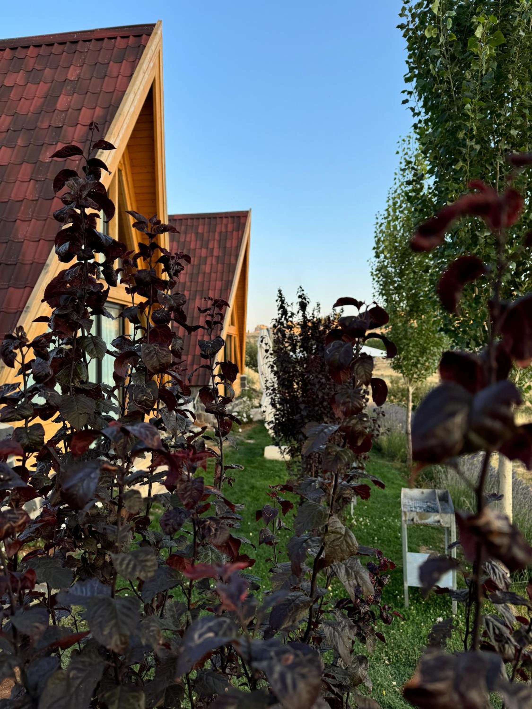 Photo 28