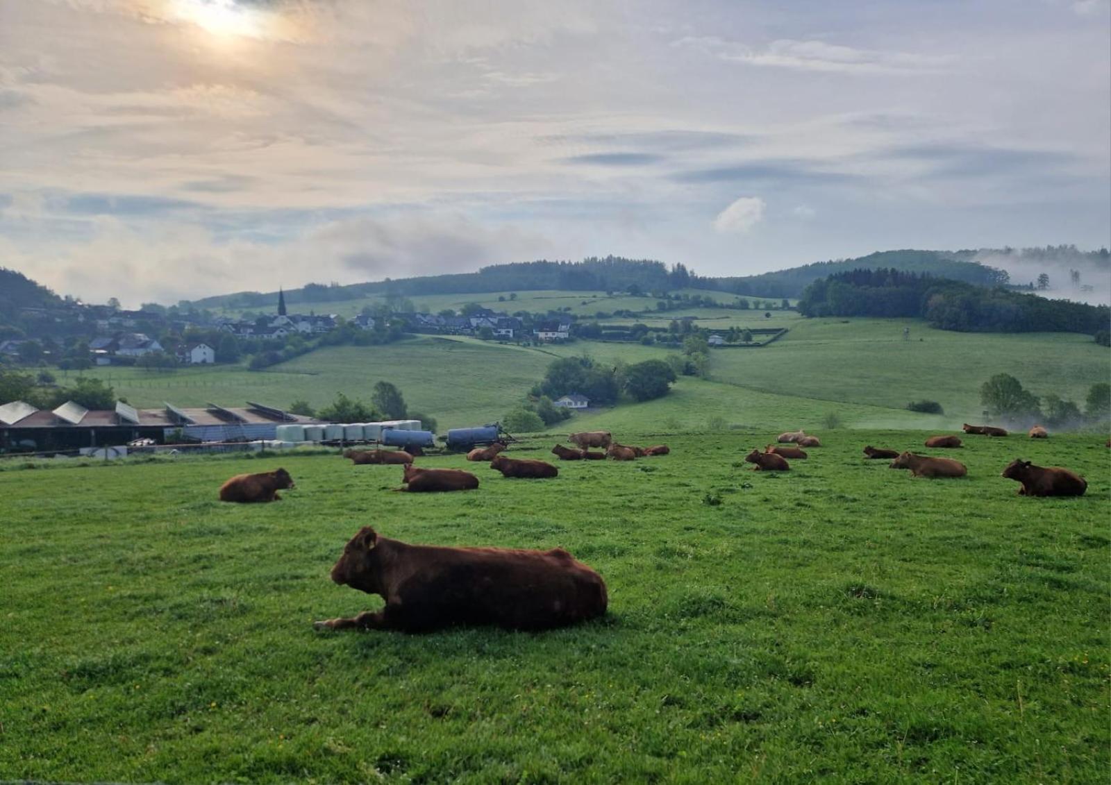 Ferienwohnung Sauerlandherz