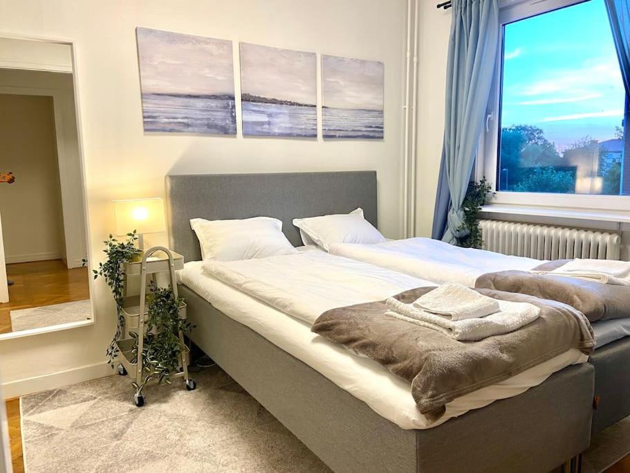 central apartment with free parking view 3