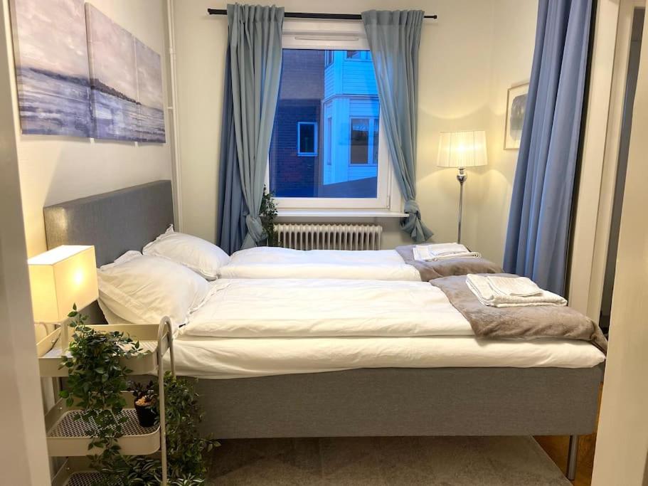 central apartment with free parking view 2