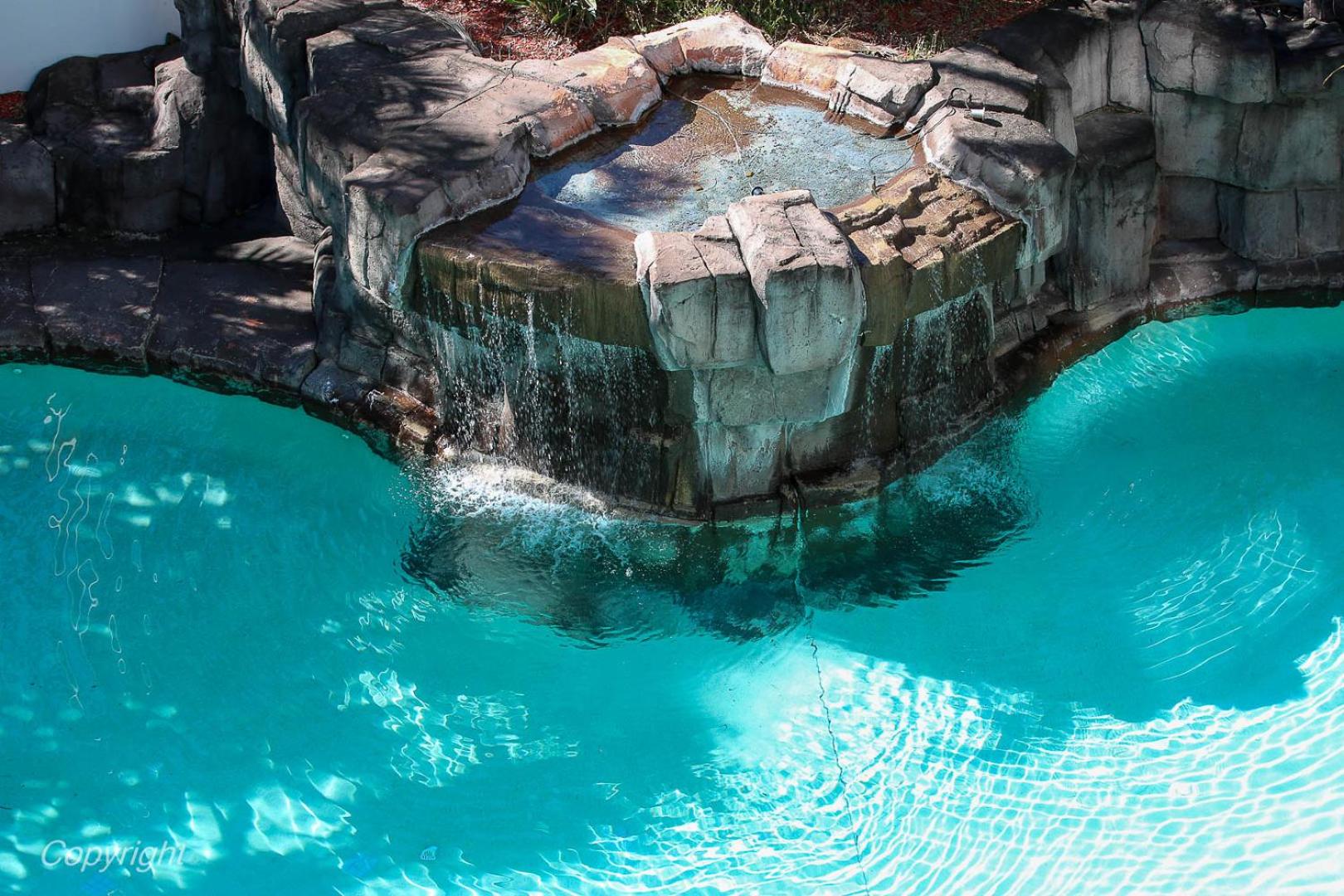 Surfers Sanctuary