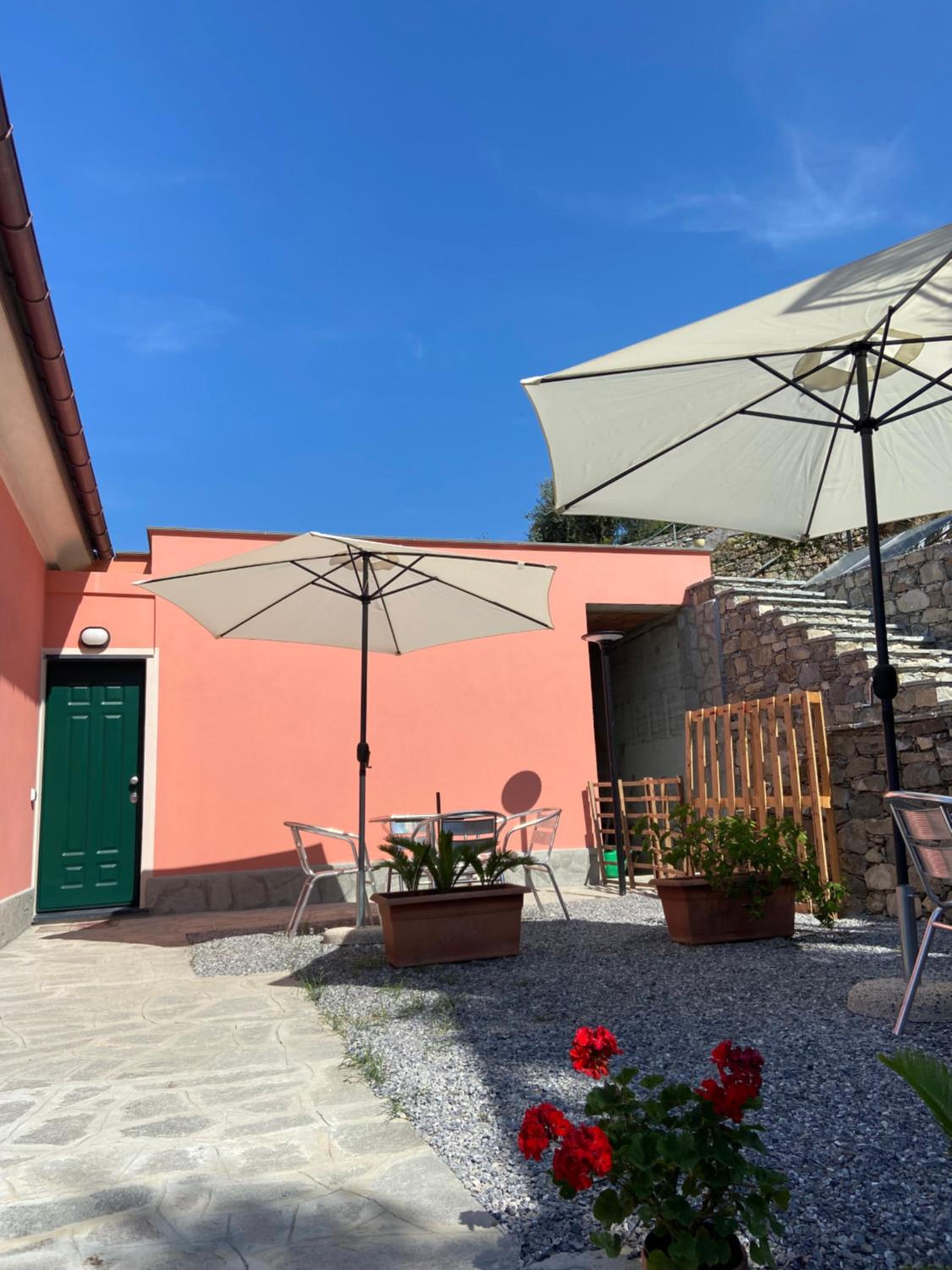 Il Vigneto
