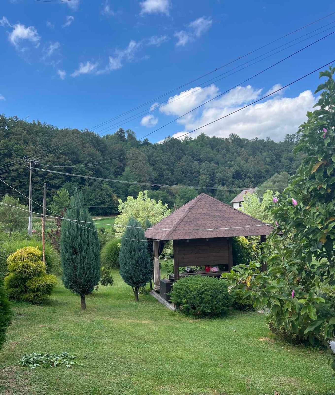 Apartman Maslina