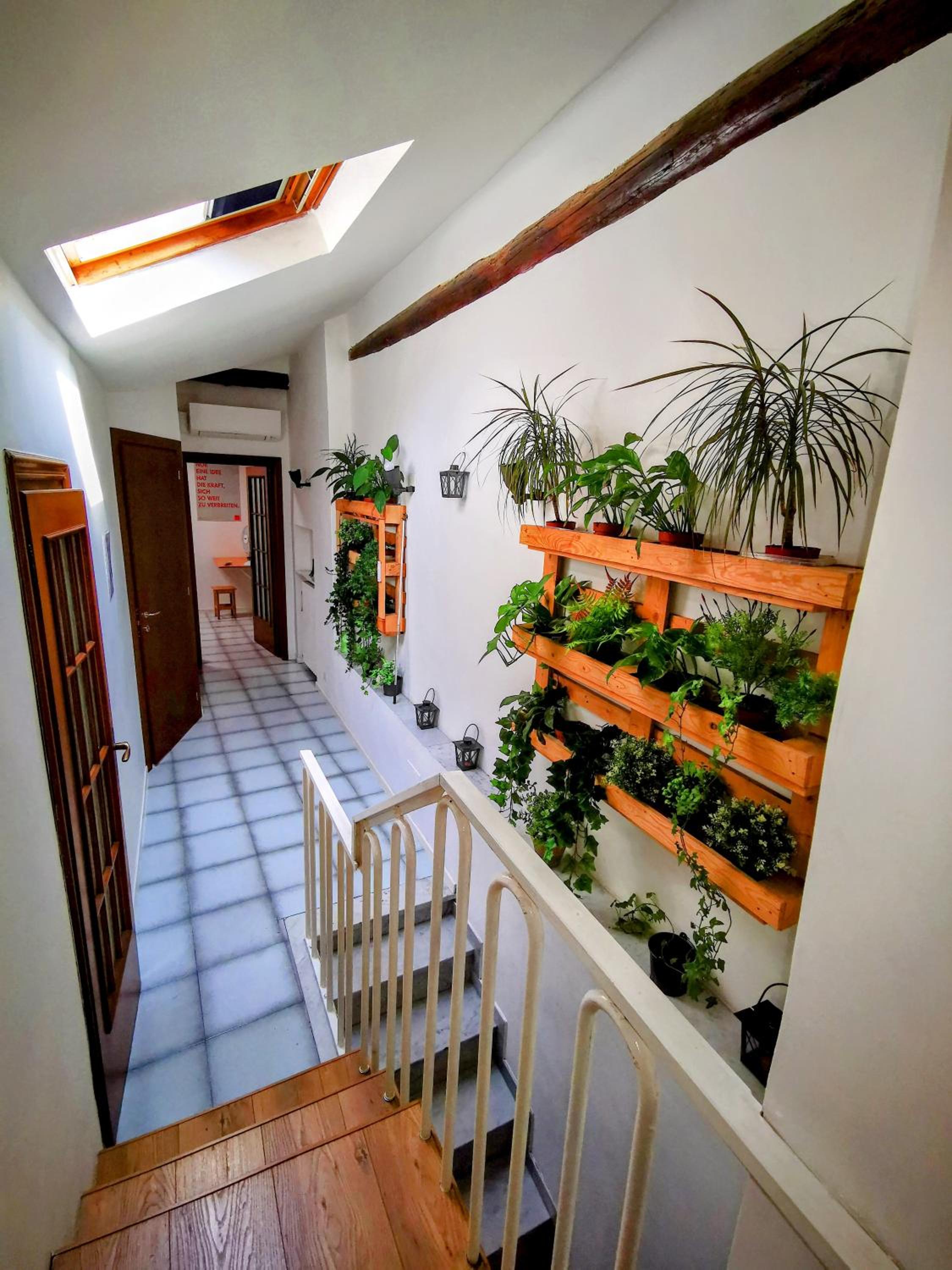 The roof top loft