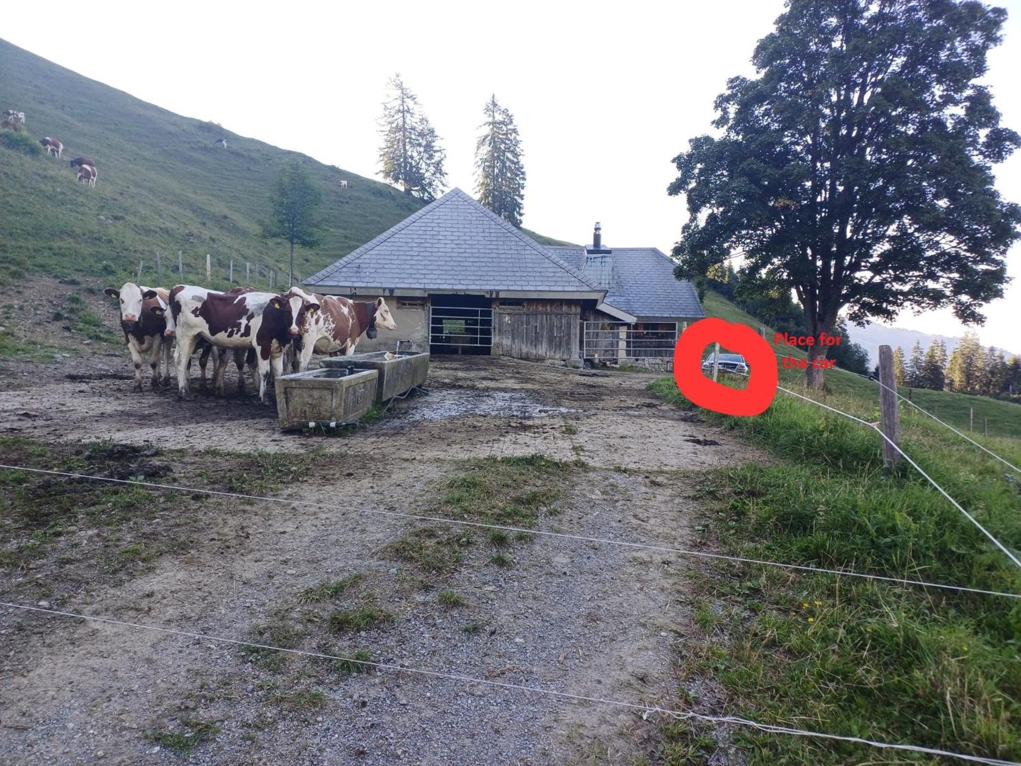 Staldenhaus Riggisalp