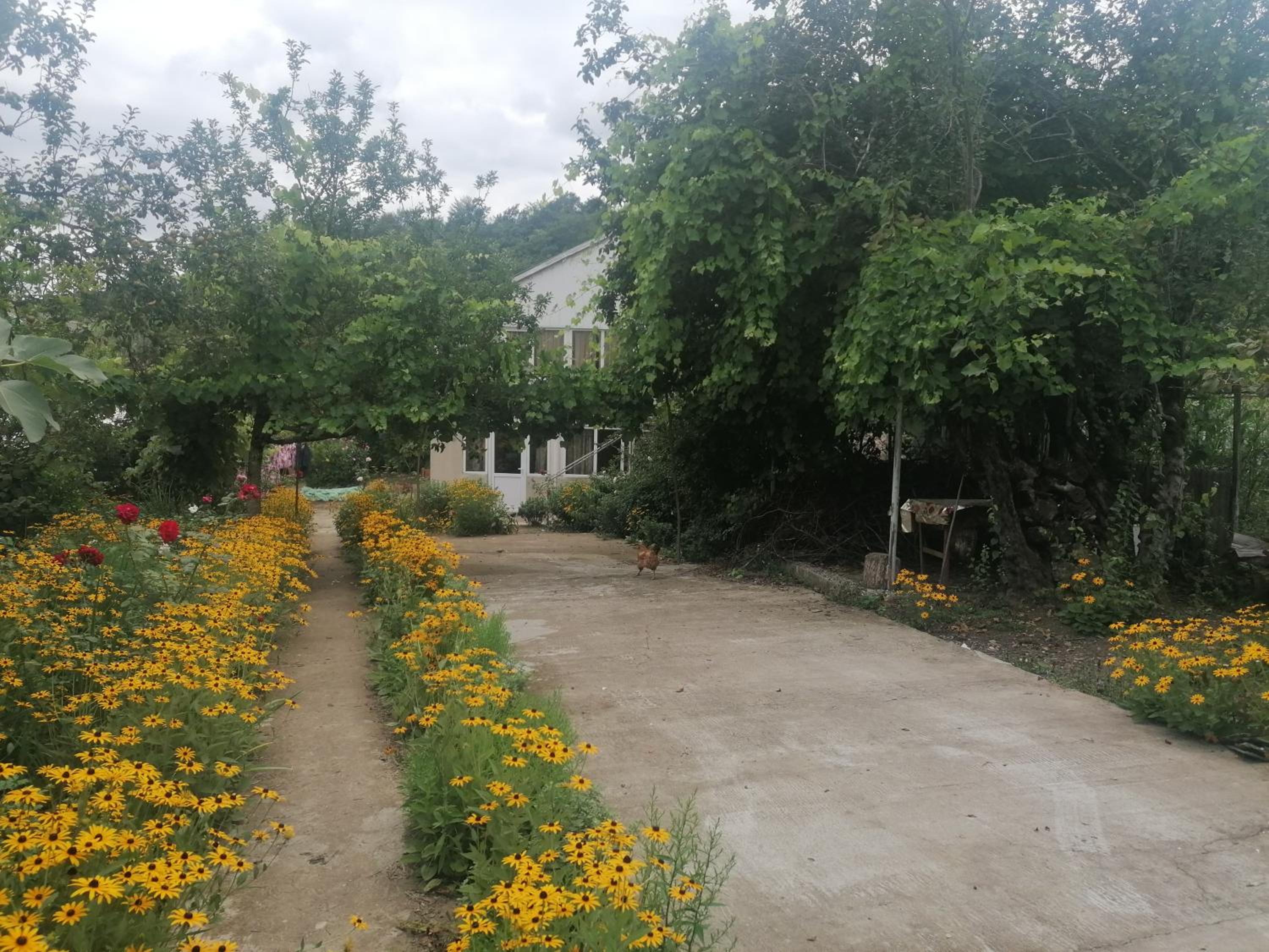 Photo 18